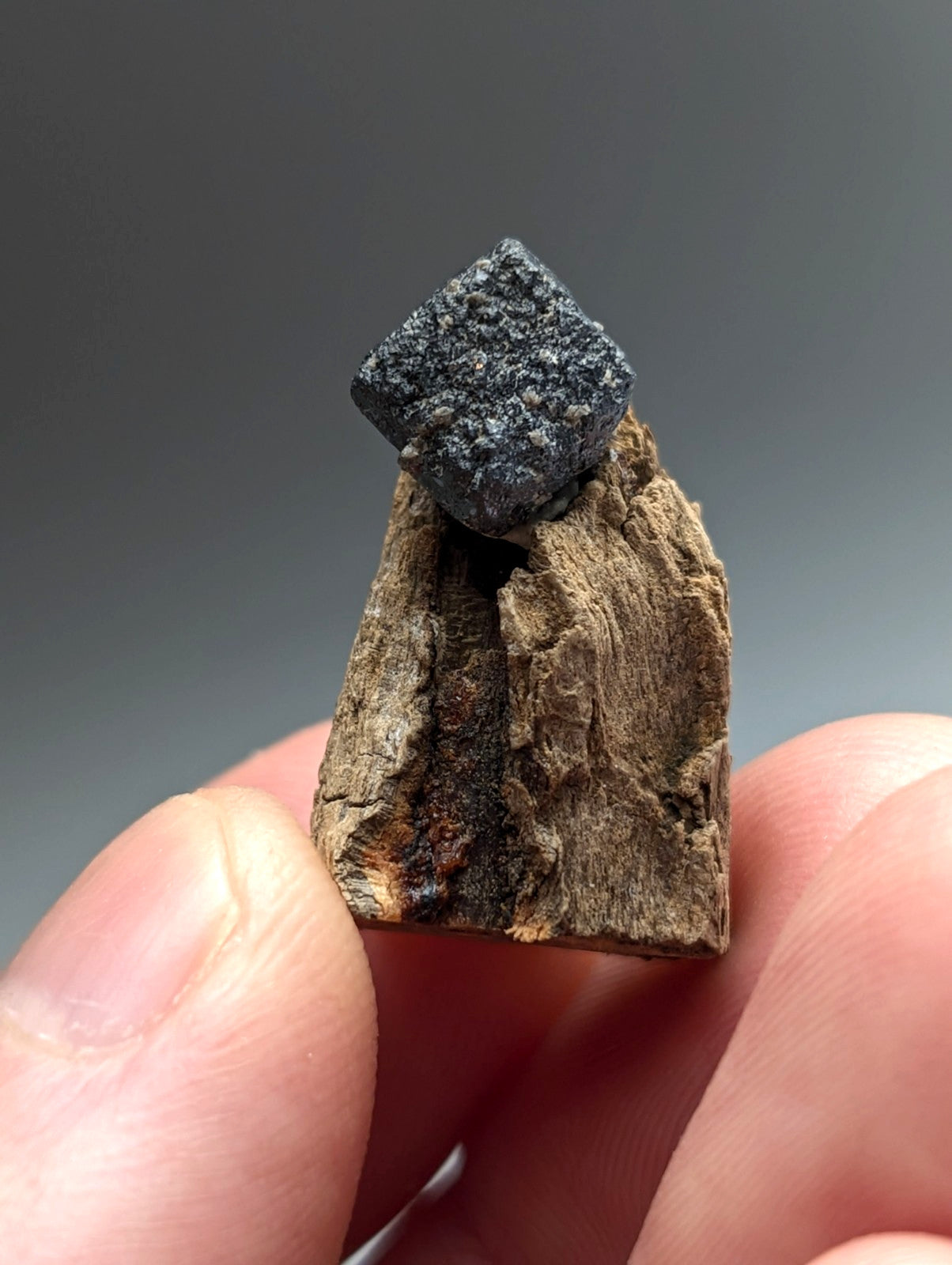 Brookite crystal, Magnet Cove, Hot Spring Co. Arkansas, Old Stock, + wood stand