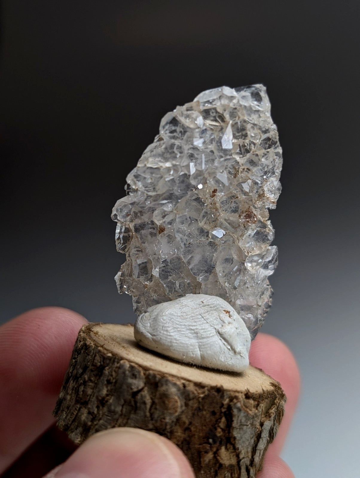 A+ Unique Quartz, Old Stock, Montgomery County, Arkansas, w/ natural wood base