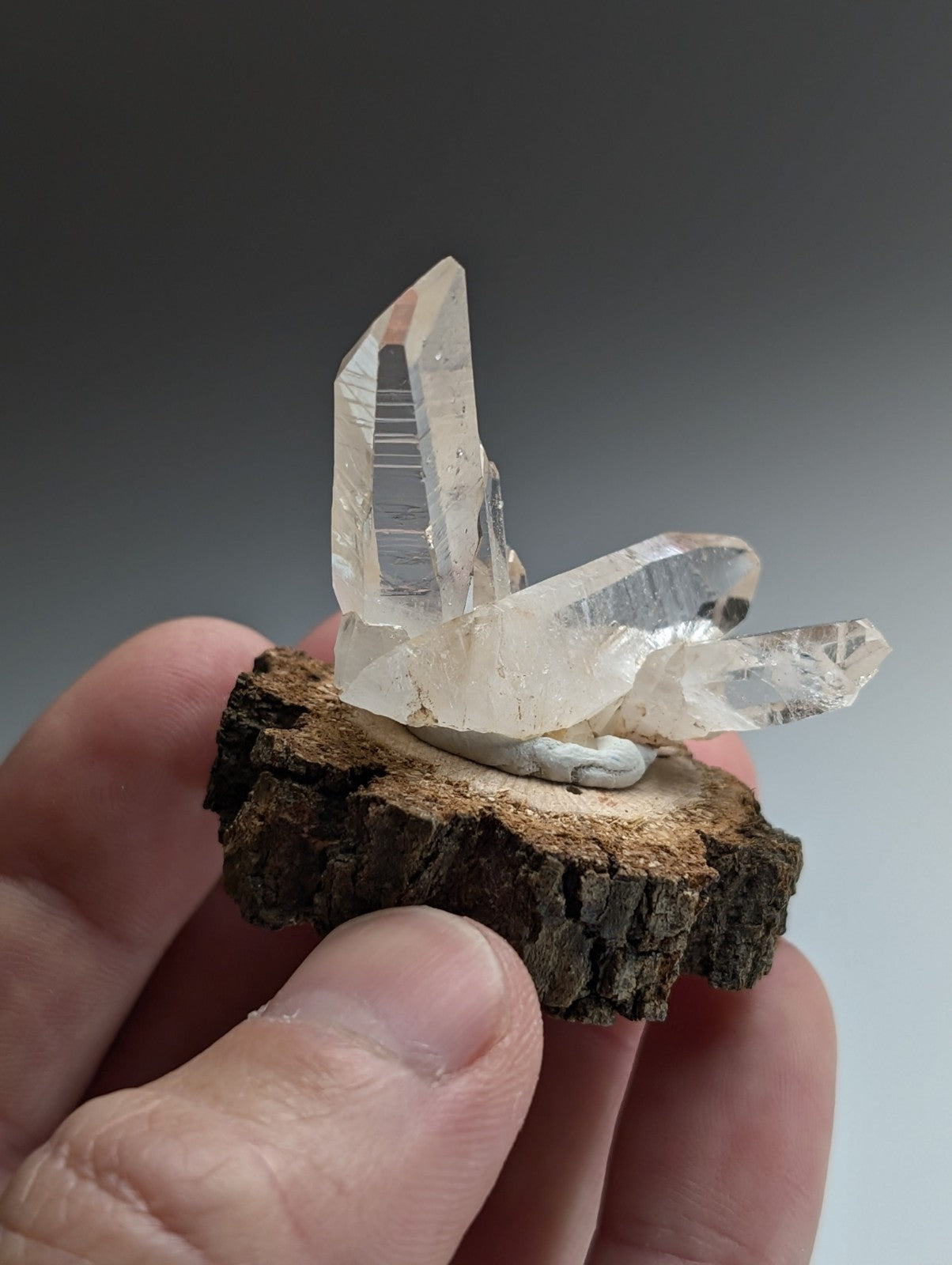 A+ Quartz Cluster, Old Stock, Montgomery County, Arkansas, w/ natural wood base
