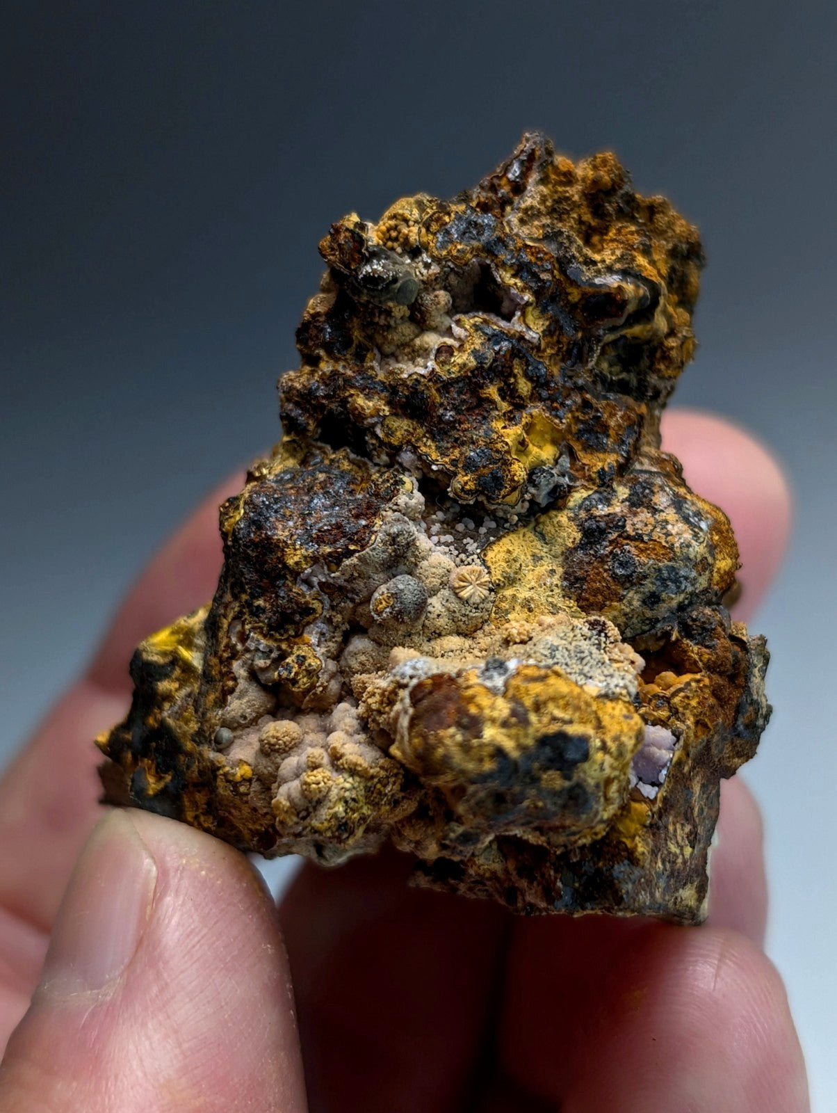 Super Rare Strengite + Cacoxenite, etc, Coon Creek Mine, Polk Co, Arkansas, USA