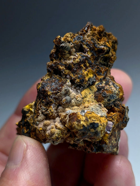 Super Rare Strengite + Cacoxenite, etc, Coon Creek Mine, Polk Co, Arkansas, USA