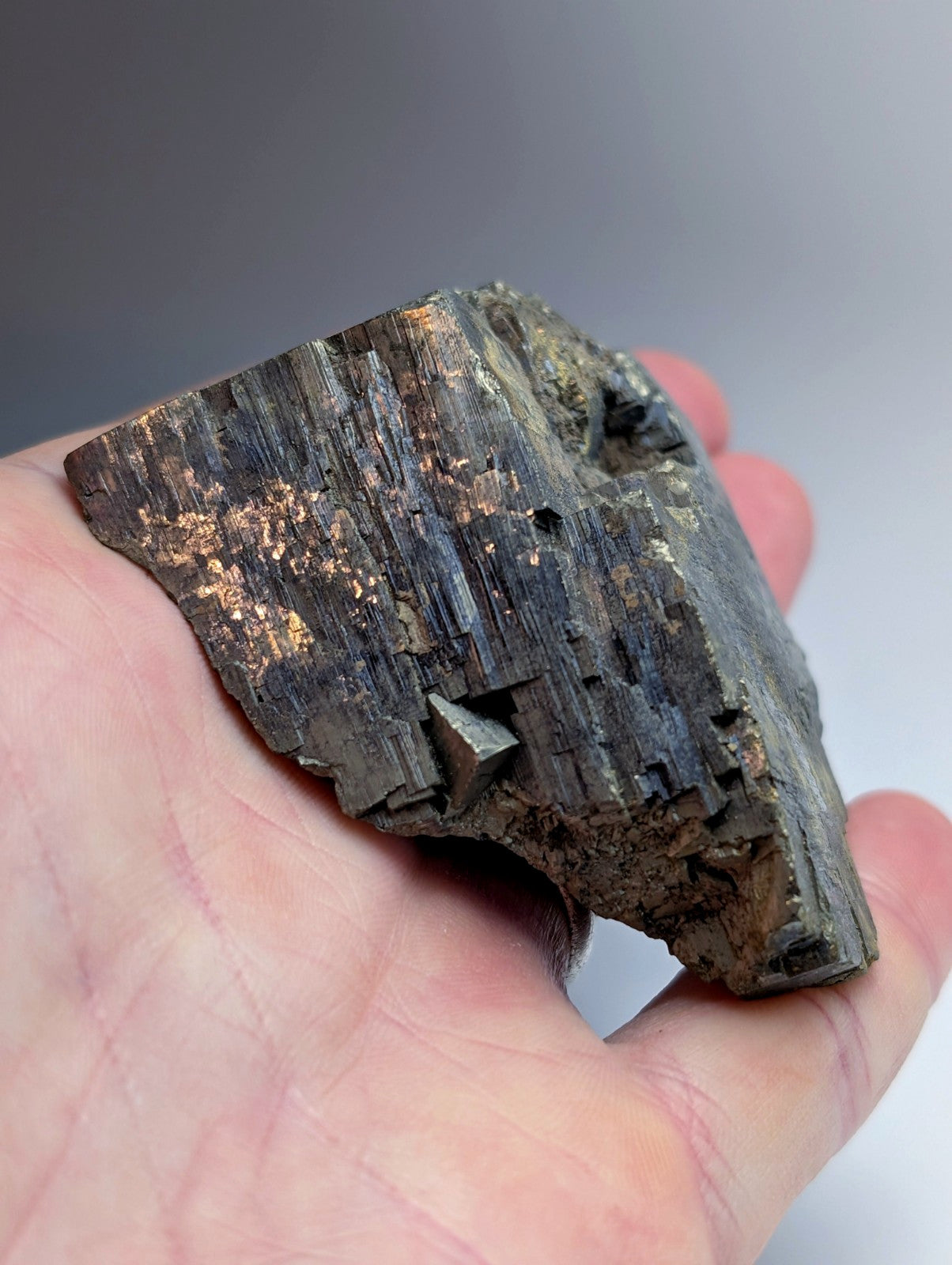 Pyrite with Molybdenum, Magnet Cove, Arkansas, USA, w/ wood display, ex Delinde