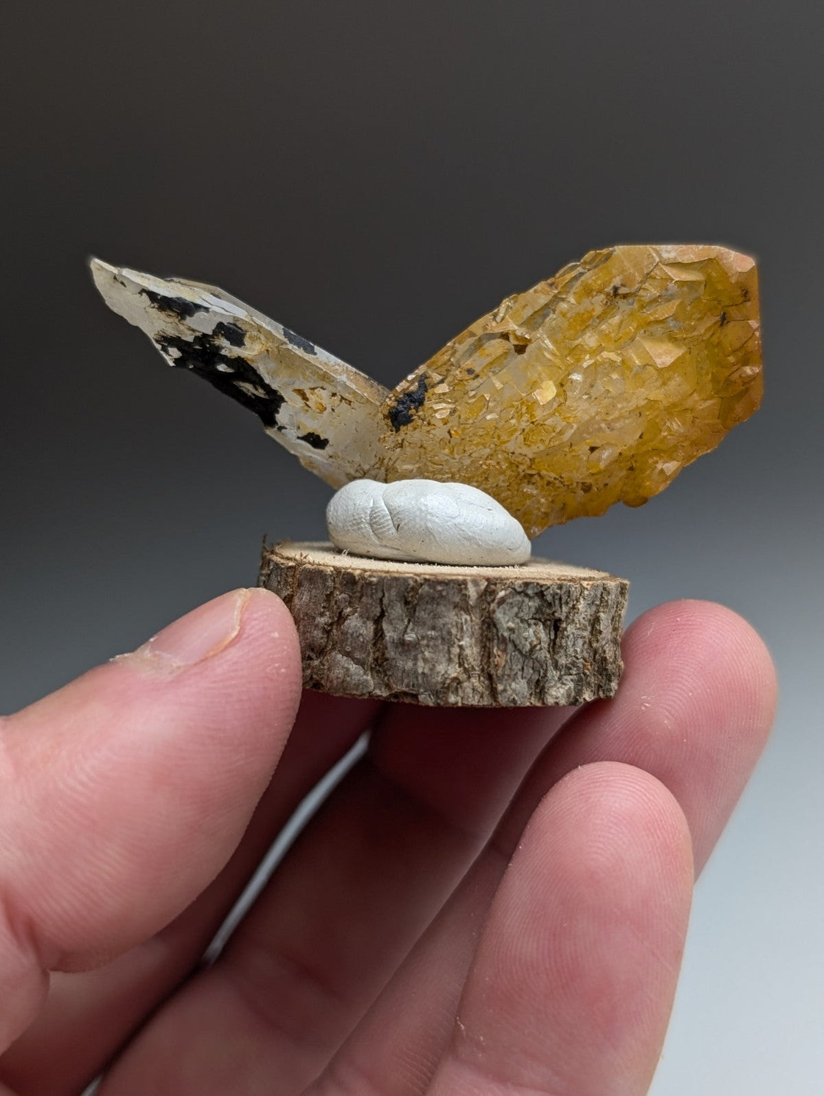 A+ Unique Quartz, Old Stock, Montgomery County, Arkansas, w/ natural wood base