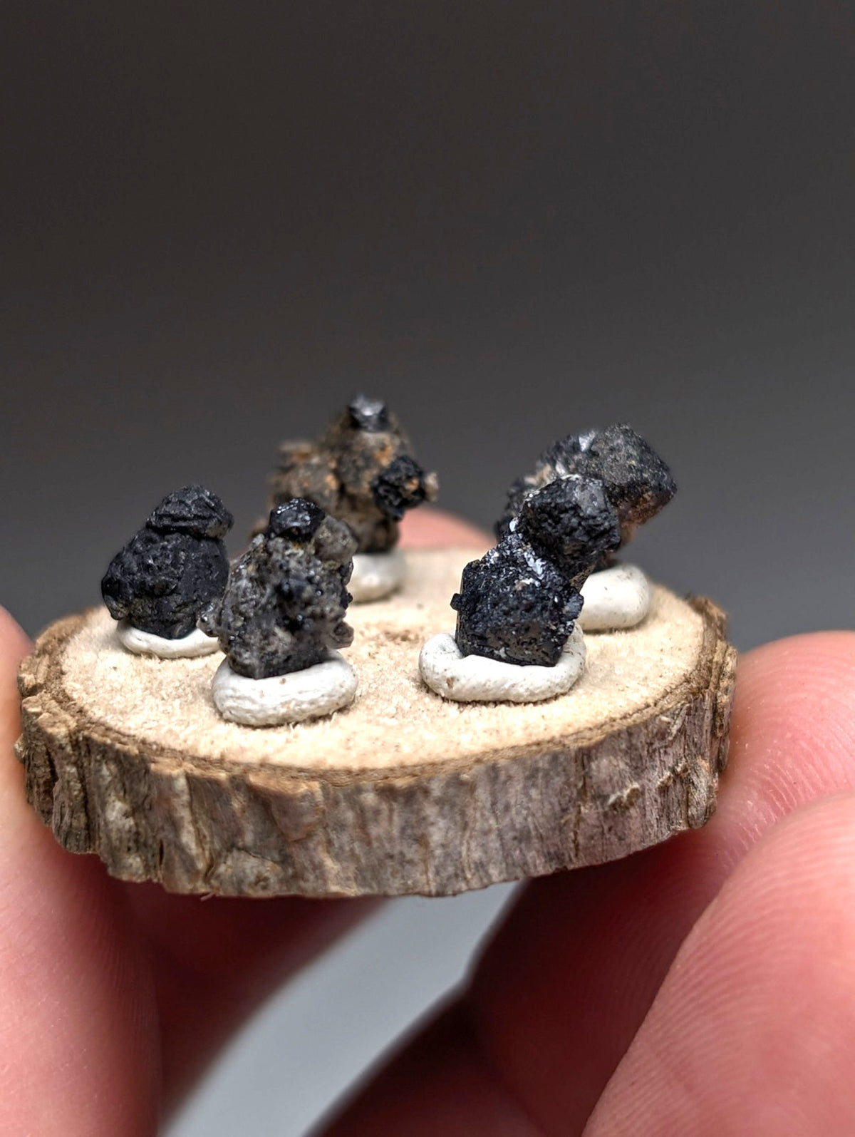 Set of 5 Brookite + Smoky Quartz, Magnet Cove, Arkansas, Old Stock, + wood stand