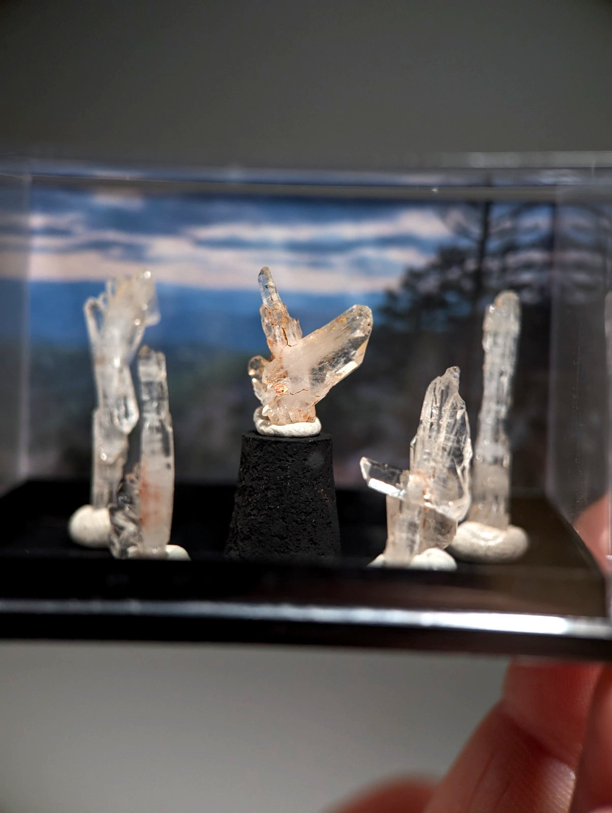 Set of 5 Faden Quartz Crystals, w/ photo case/mount, Montgomery County, Arkansas