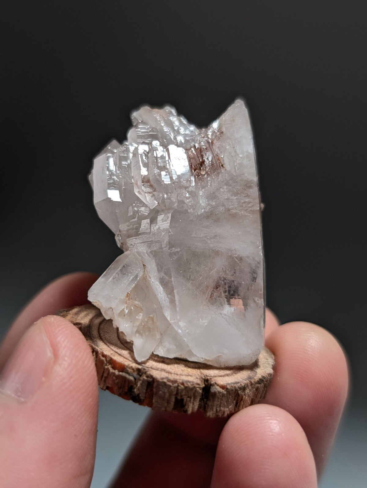 A+ Cathedral Quartz Crystal, Montgomery County, Arkansas, w/ natural wood base