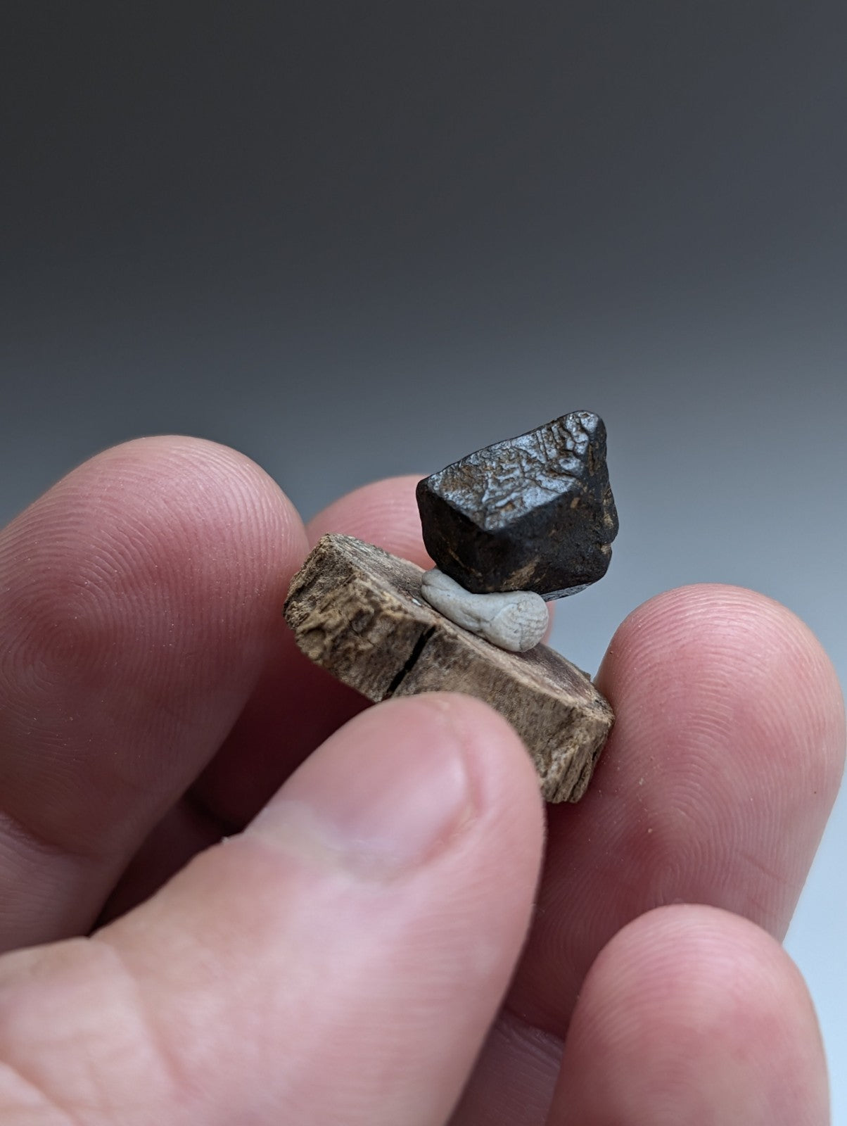 Magnetite Crystal, Magnet Cove Igneous Complex, Arkansas, Old Stock, +wood stand