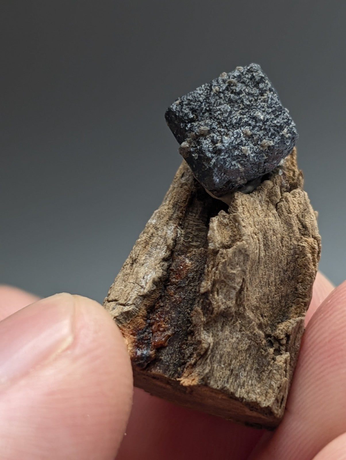 Brookite crystal, Magnet Cove, Hot Spring Co. Arkansas, Old Stock, + wood stand