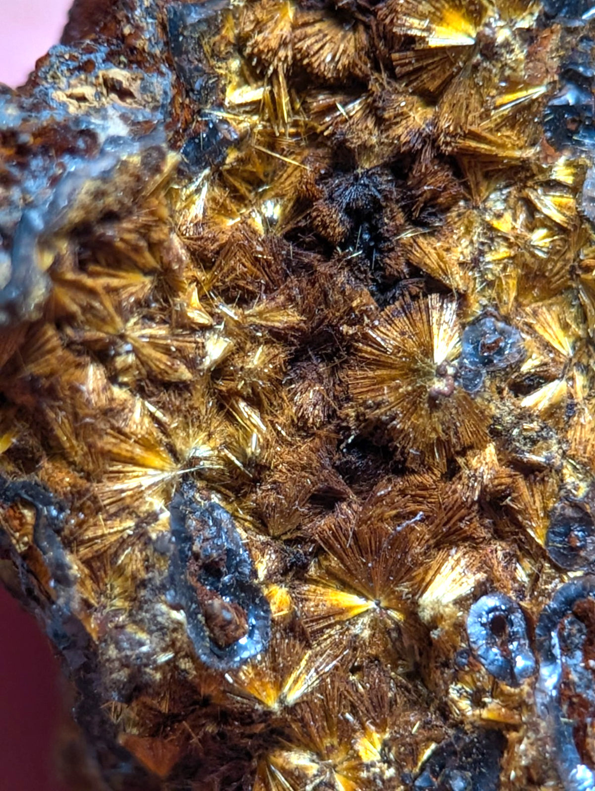 VERY RARE Strengite + Cacoxenite- Coon Creek, Polk County, Arkansas