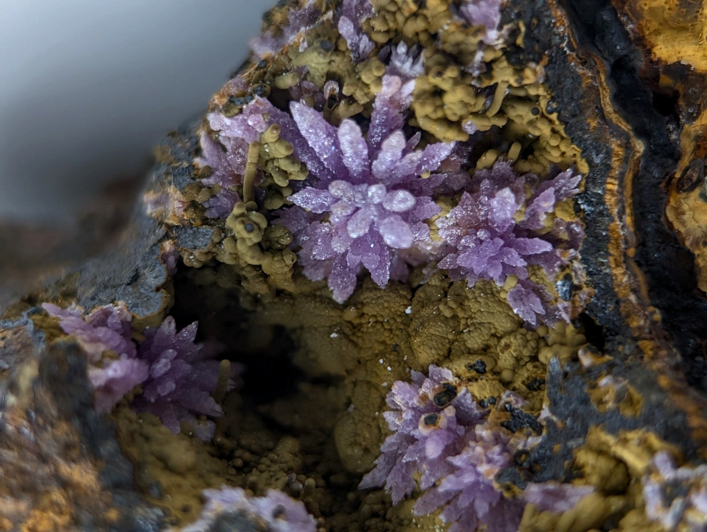 Super Rare Strengite + Kidwellite, etc, Coon Creek Mine, Polk Co, Arkansas, A+++