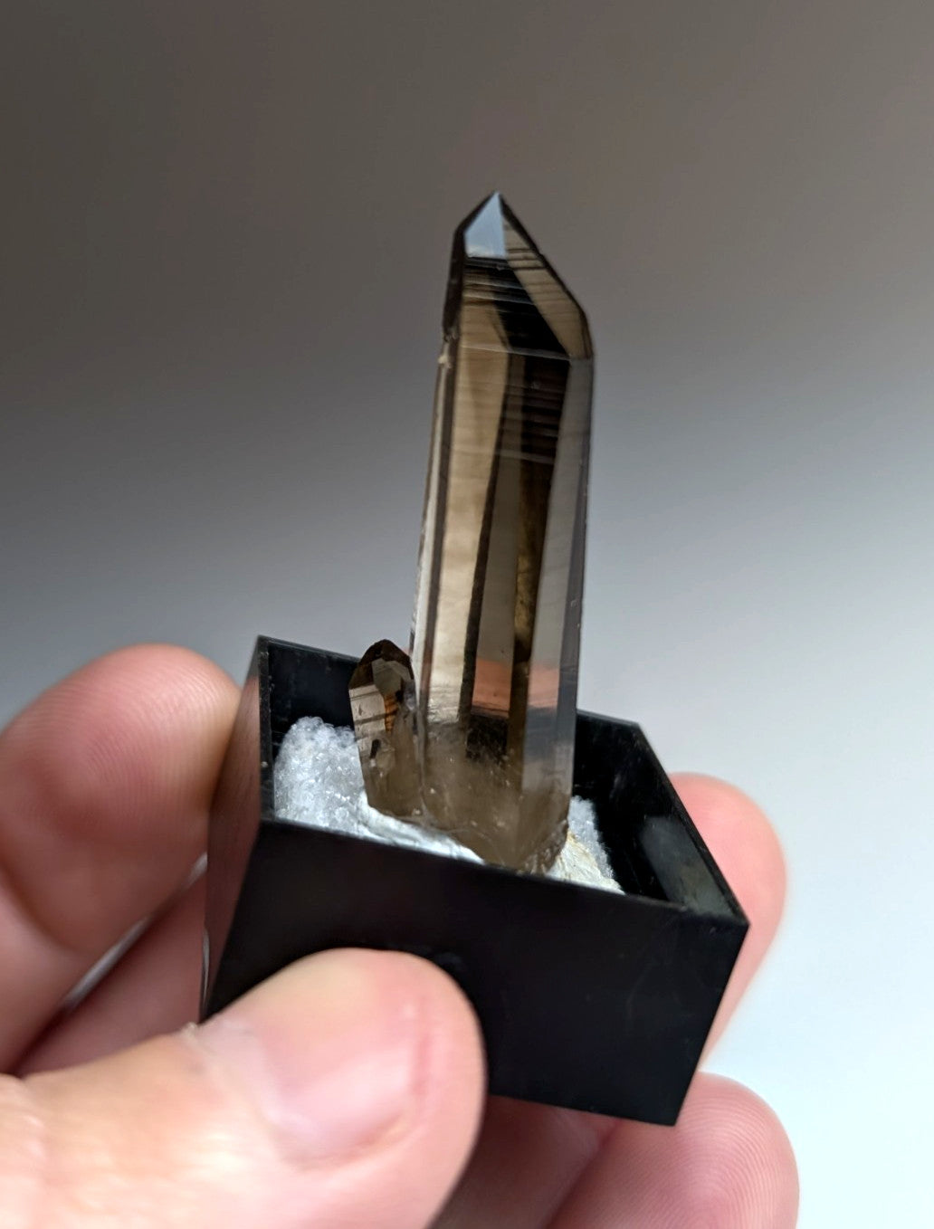 A+ Irradiated Smoky Quartz Crystal Point, Garland County, Arkansas, USA, Delinde