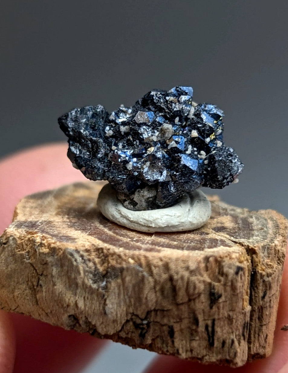 A+ Unique Brookite Crystal, Magnet Cove, Arkansas, Old Stock, + wood stand