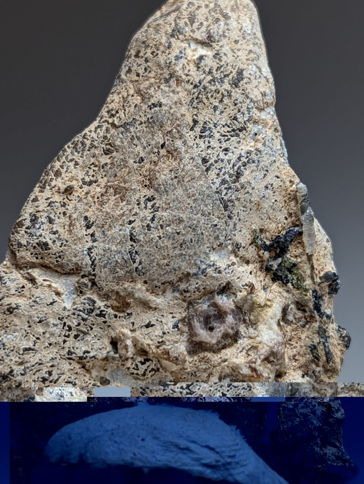 Garnet on Syenite matrix, Magnet Cove, Arkansas, Old Stock, + wood stand