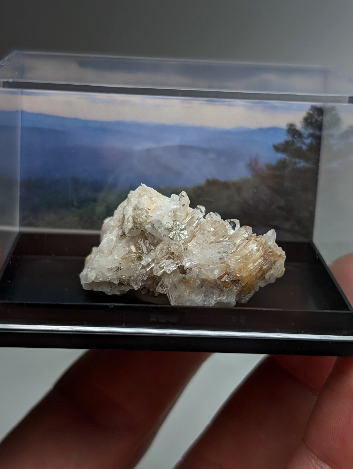 Cookeite on Quartz Crystal, Saline County, Arkansas, Old Stock, w/ photo case