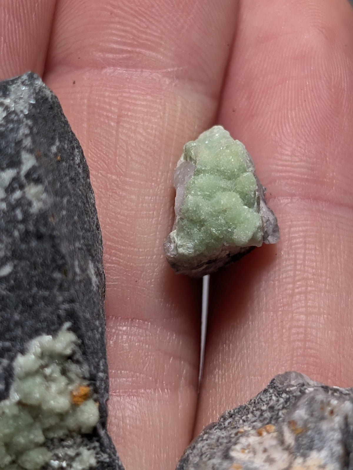 Set of 10 Wavellite - Fantastic Old Stock - Mauldin Mountain, Arkansas, ooak
