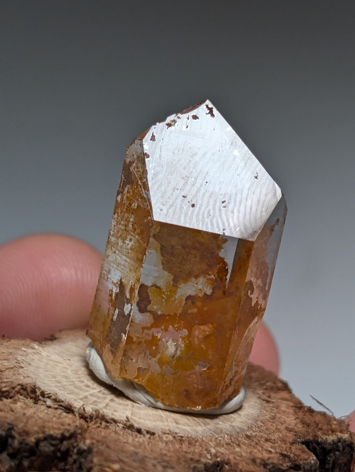 A+ Optical Quartz, Old Stock, Montgomery County, Arkansas, w/ natural wood base