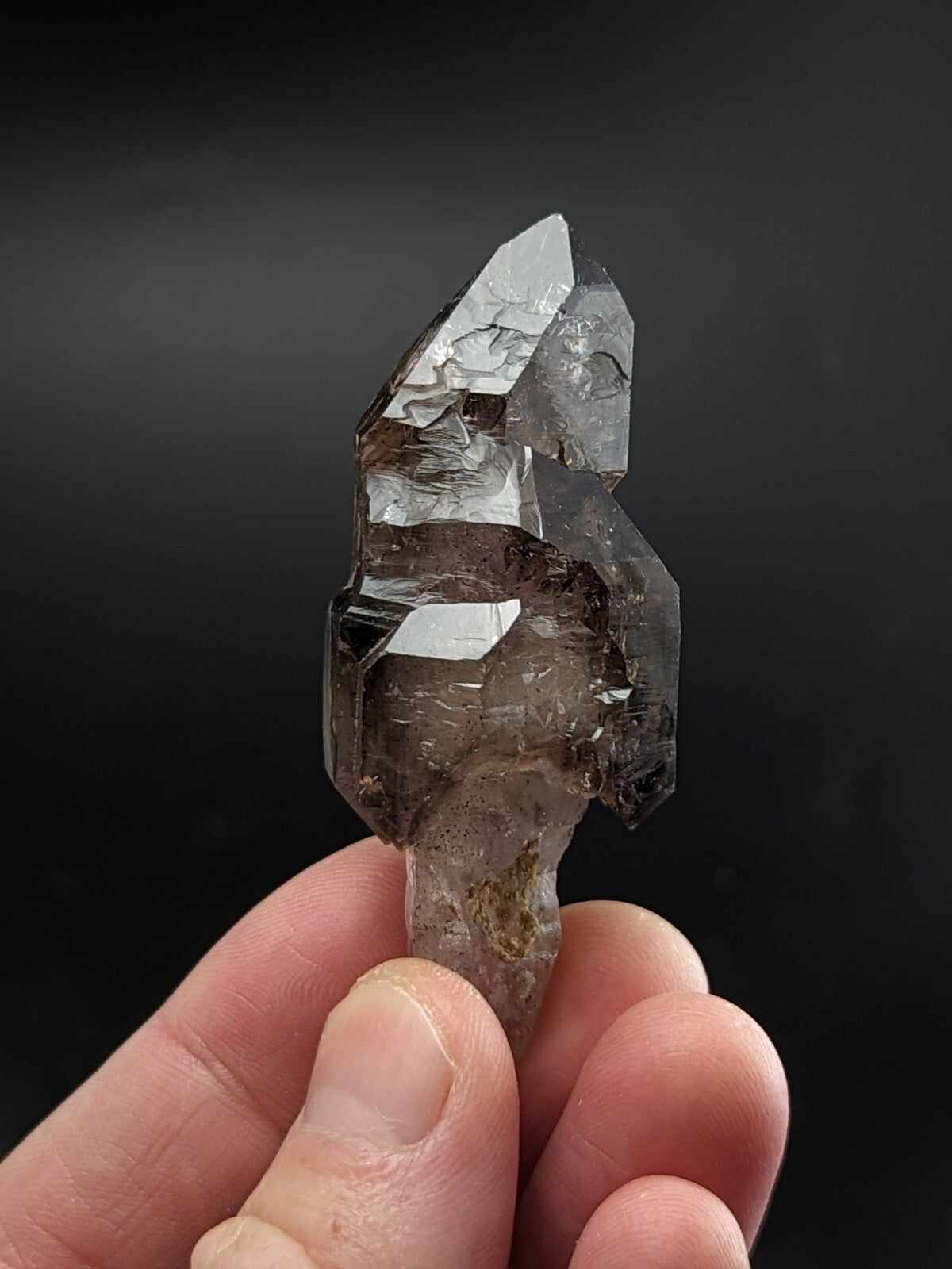 Shangaan Amethyst Scepter  Quartz Crystal from Chibuku Zimbabwe