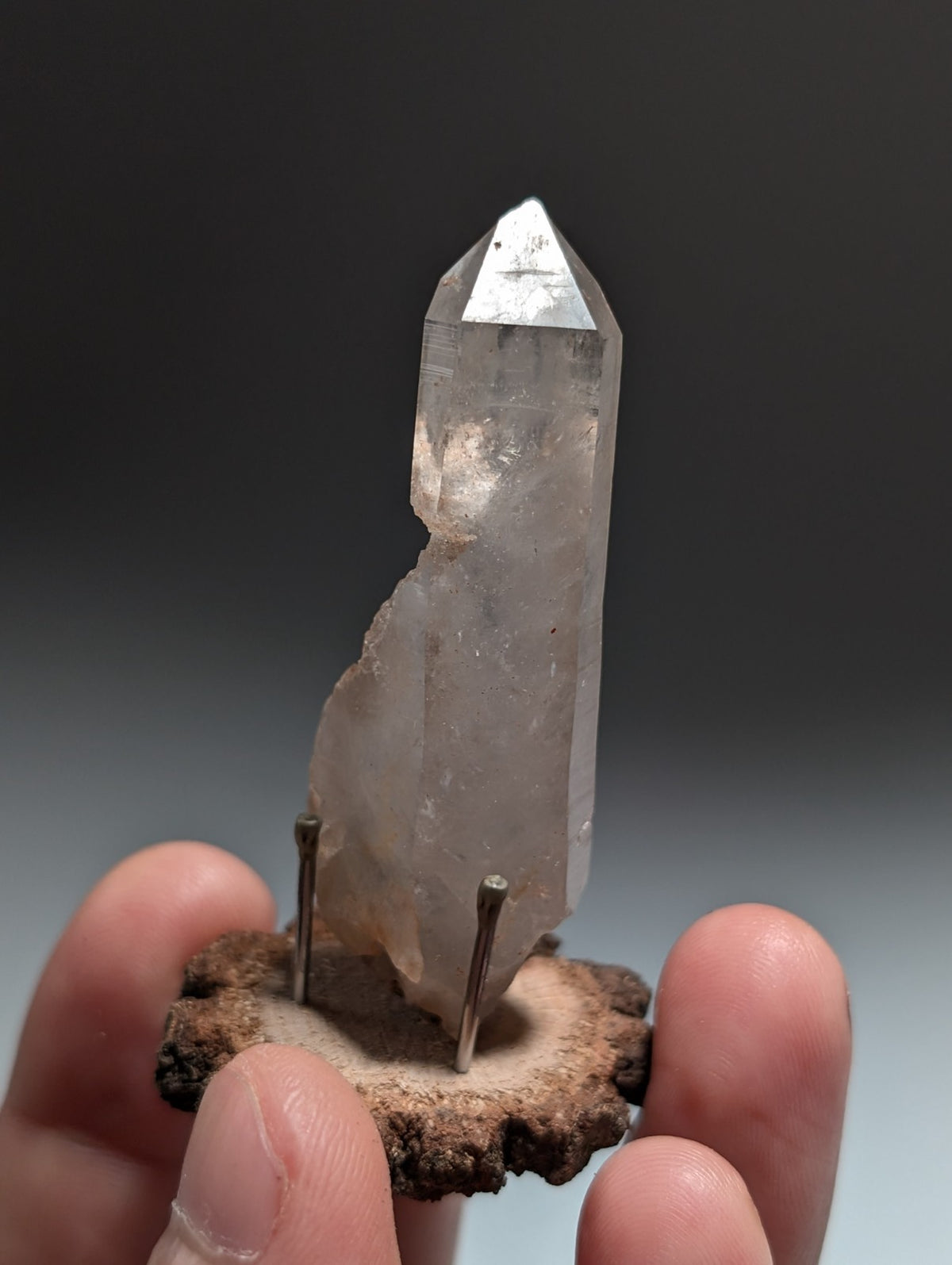 Quartz Crystal Point, Old Stock, Montgomery County, Arkansas, USA