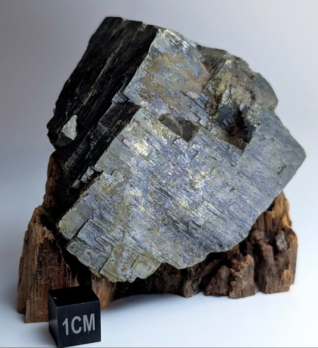 Pyrite with Molybdenum, Magnet Cove, Arkansas, USA, w/ wood display, ex Delinde