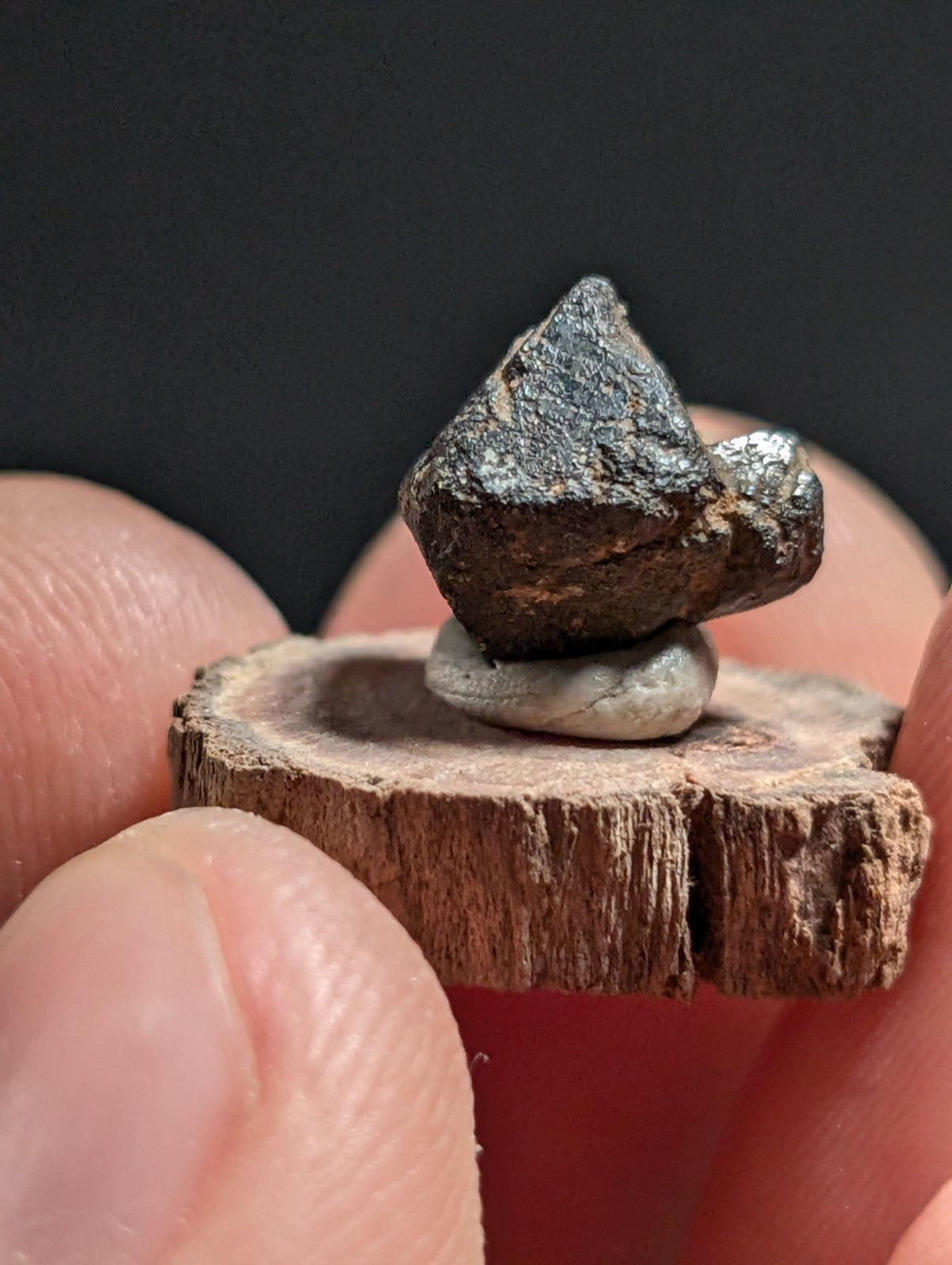 Magnetite crystal, Magnet Cove, Hot Spring Co. Arkansas, Old Stock, + wood stand
