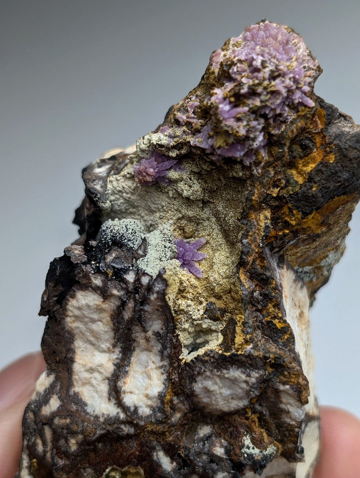 Super Rare Strengite + Kidwellite, etc, Coon Creek Mine, Polk Co, Arkansas, A+++