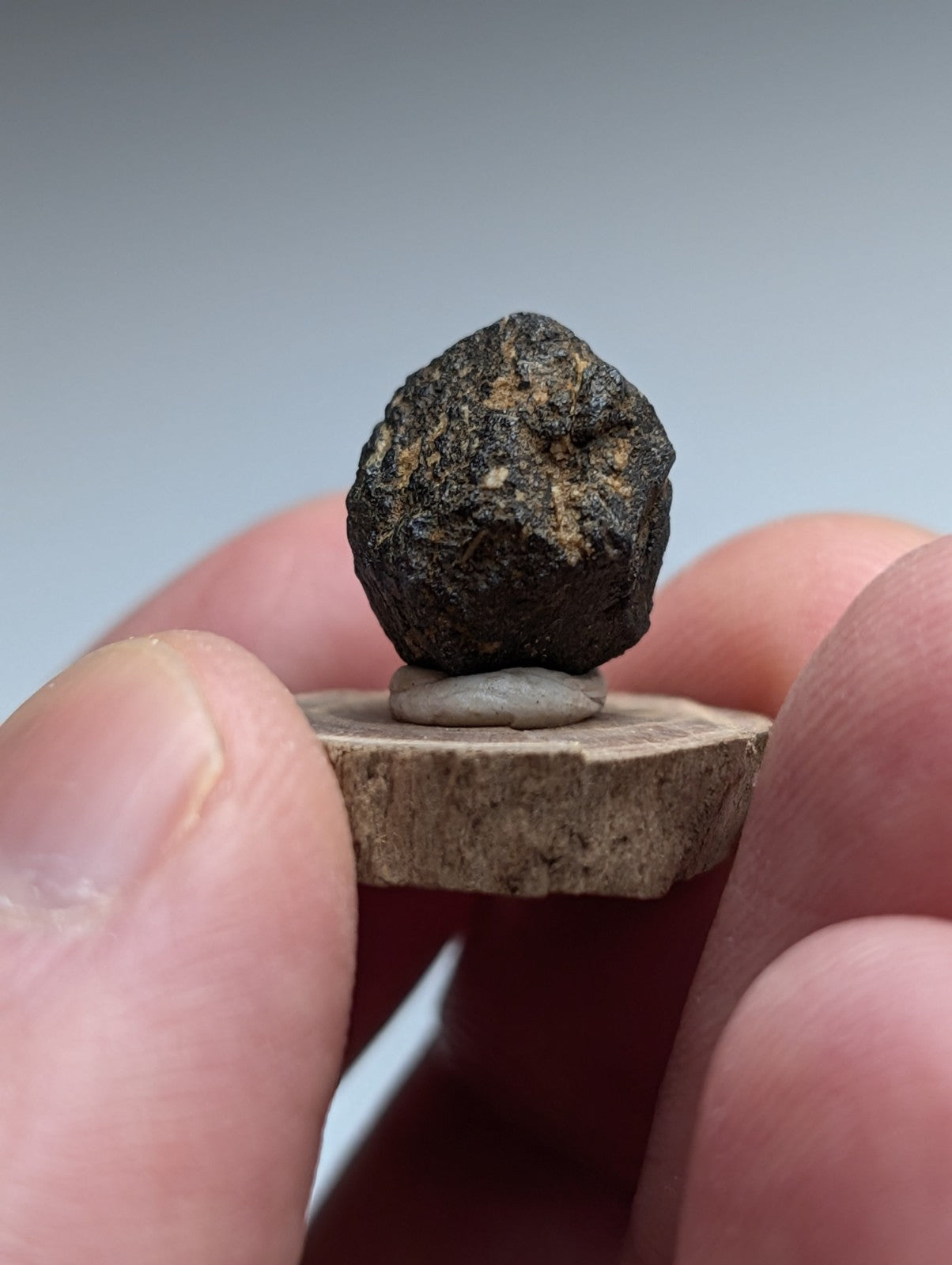 Magnetite crystal, Magnet Cove, Hot Spring County, Arkansas, USA, Old Stock