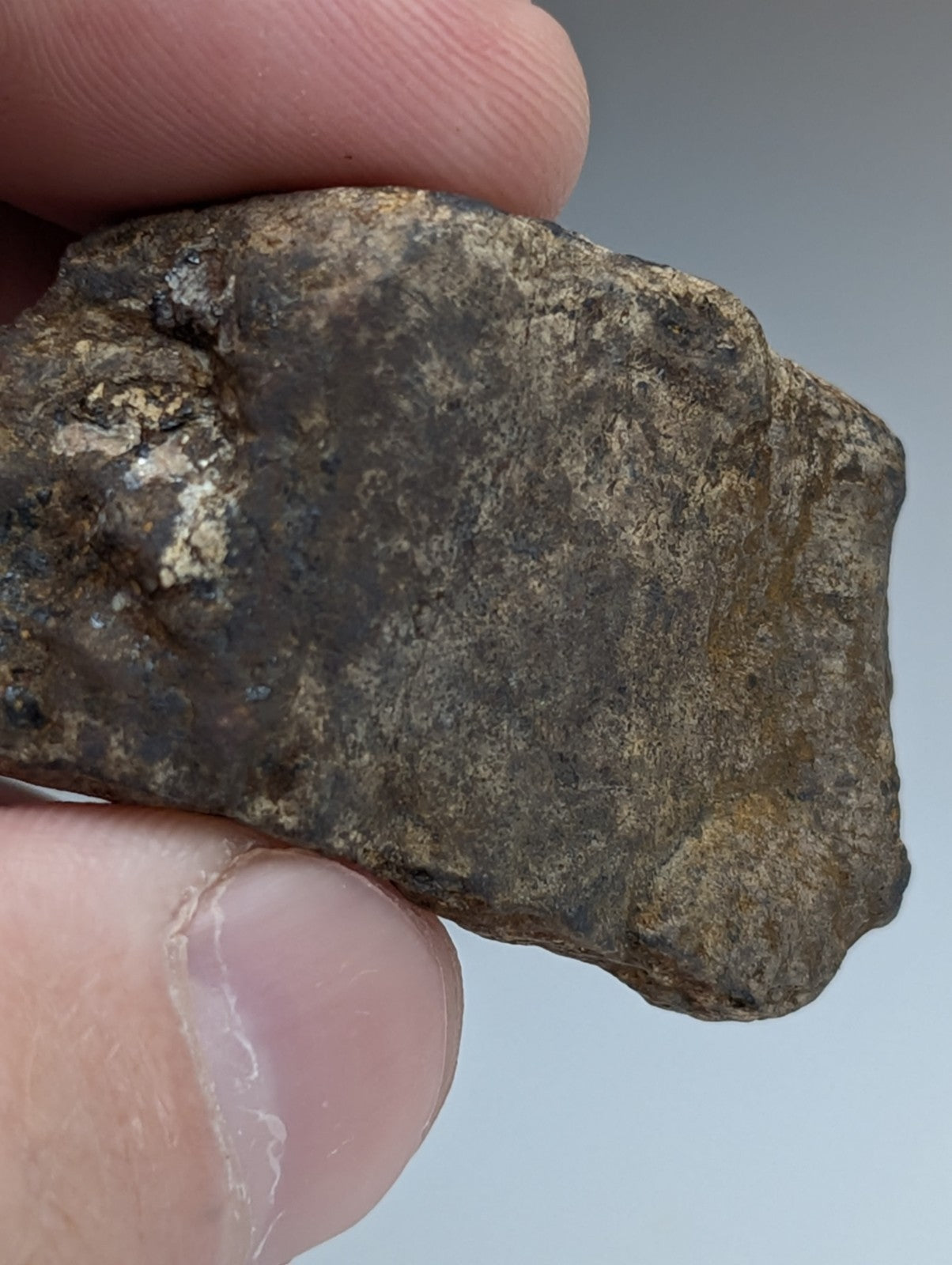 Magnetite (Lodestone), Magnet Cove, Arkansas,Unique Old Stock, natural magnet