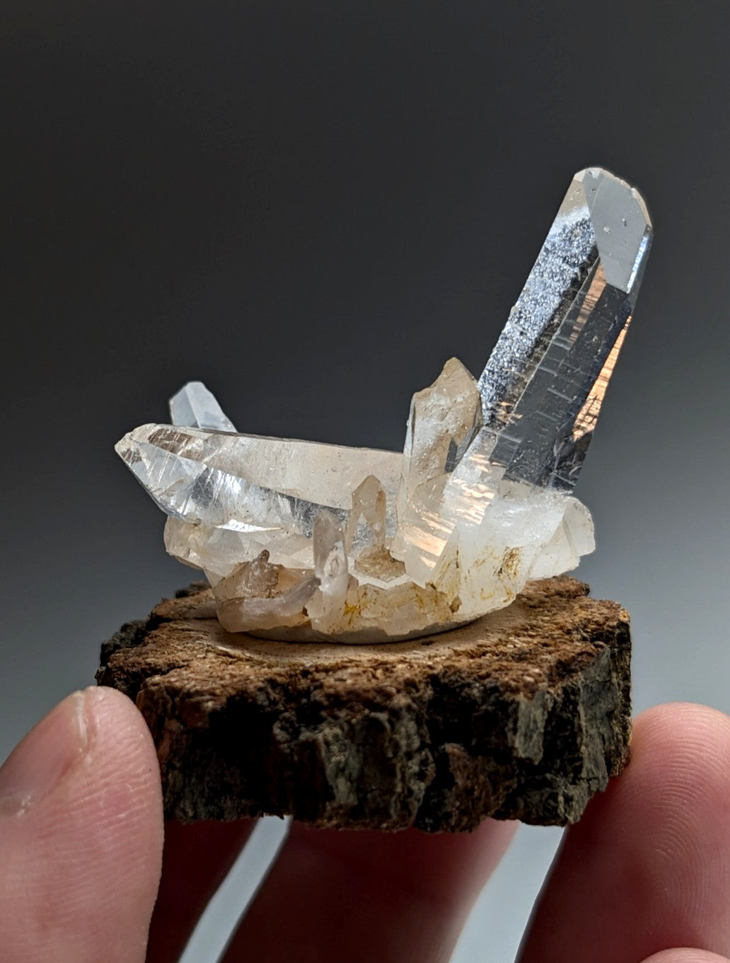 A+ Quartz Cluster, Old Stock, Montgomery County, Arkansas, w/ natural wood base