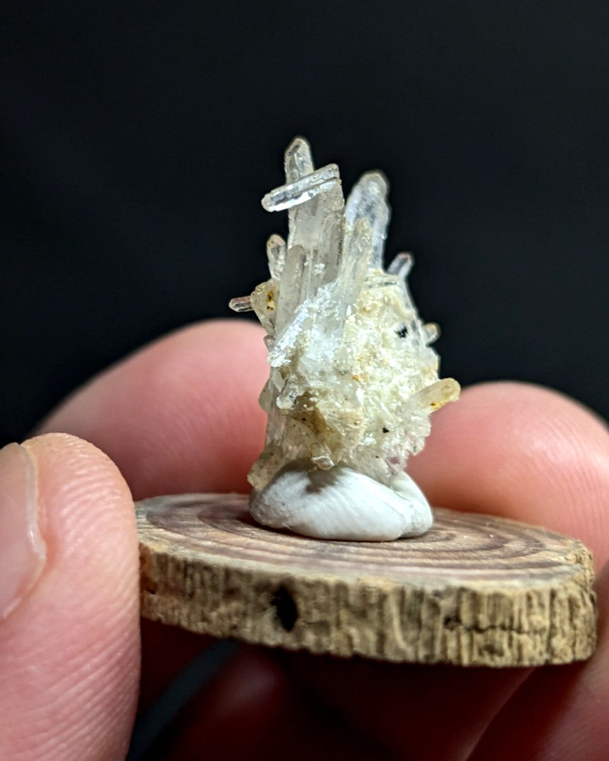 Solution Quartz Crystal Cluster, Old Stock, Jeffrey Quarry, Arkansas, w/ base