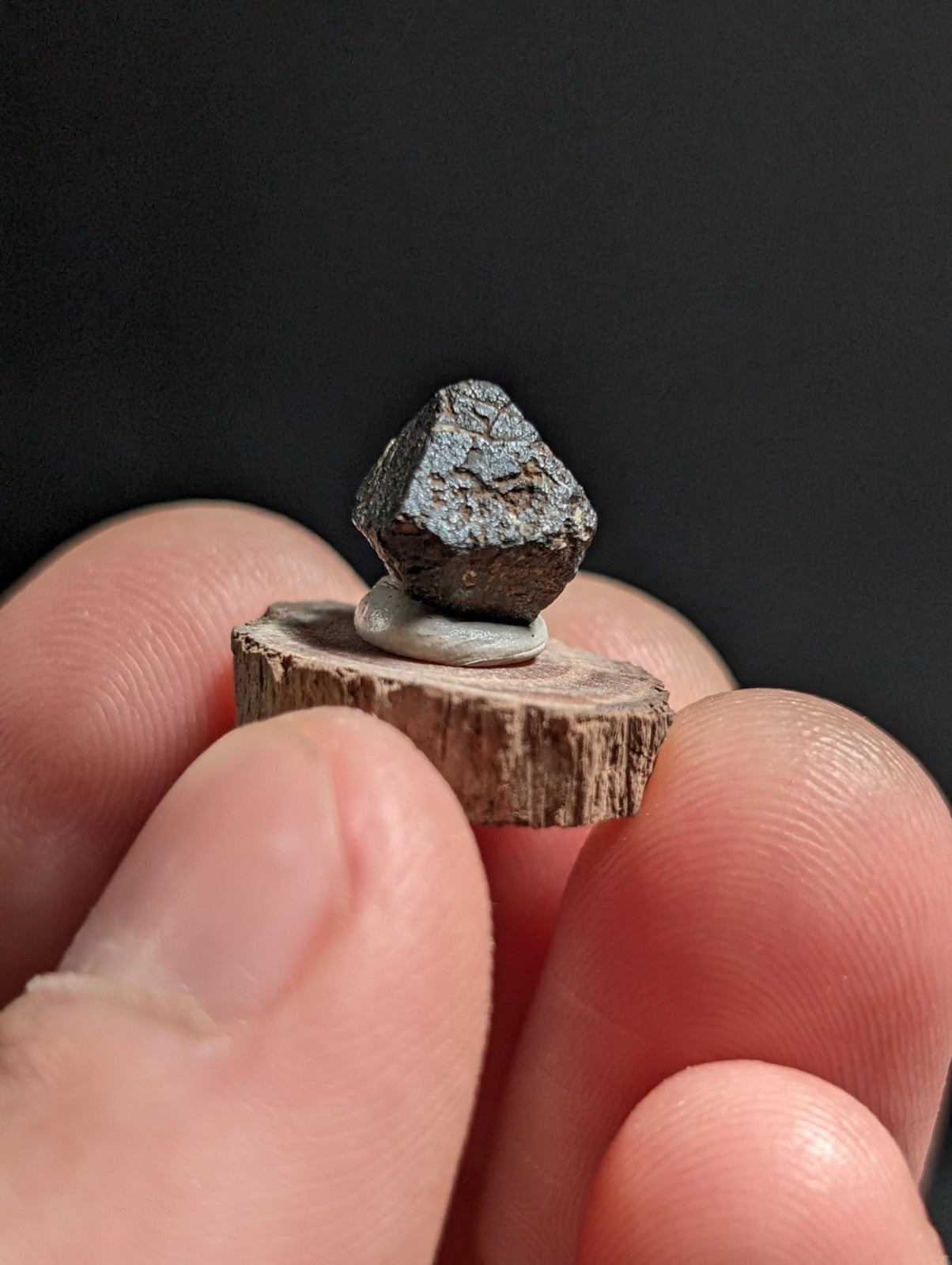 Magnetite crystal, Magnet Cove, Hot Spring Co. Arkansas, Old Stock, + wood stand