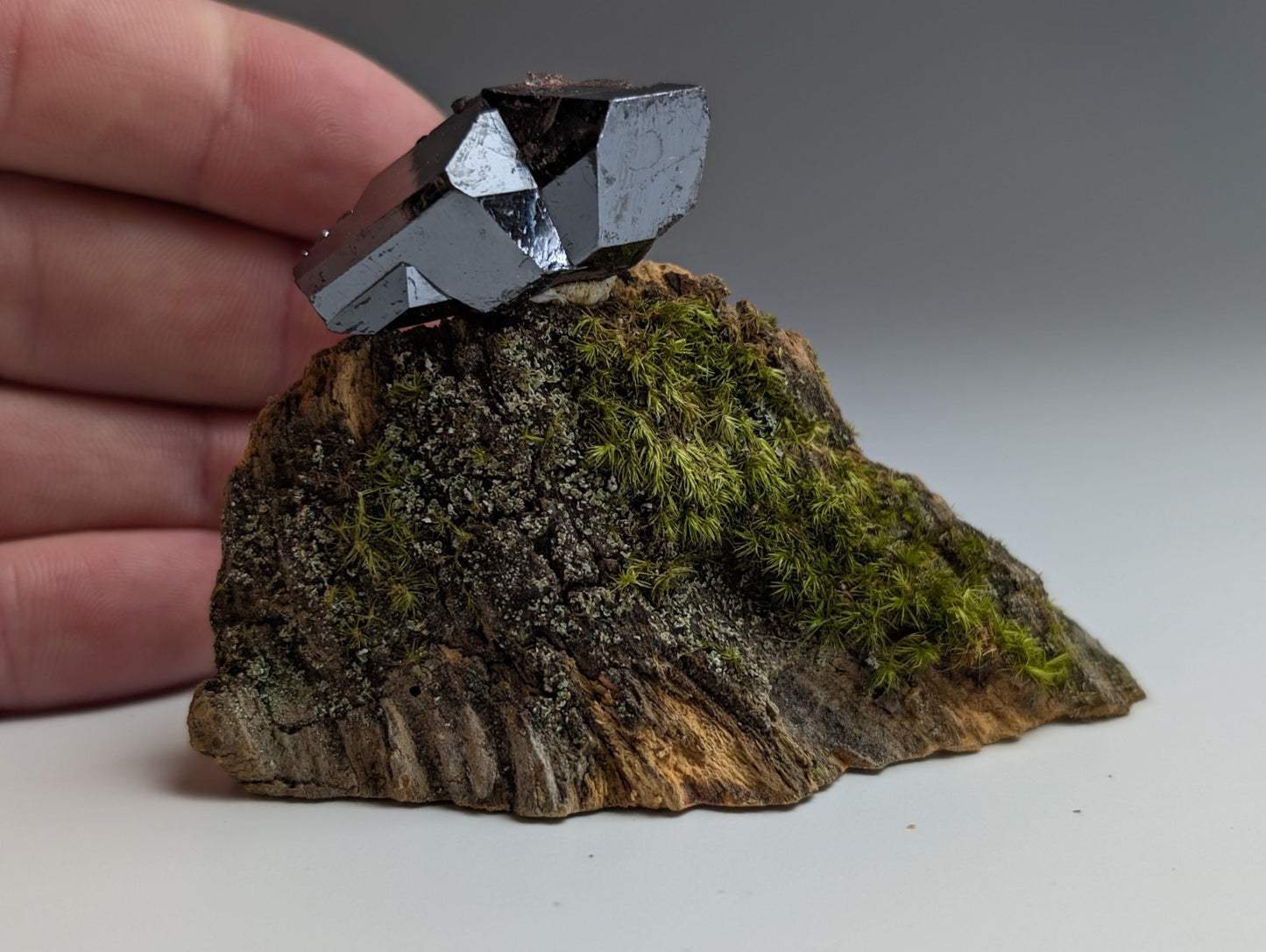 A+ Twinned Rutile Crystal, Graves Mountain, Georgia, USA,  Rare Old Stock