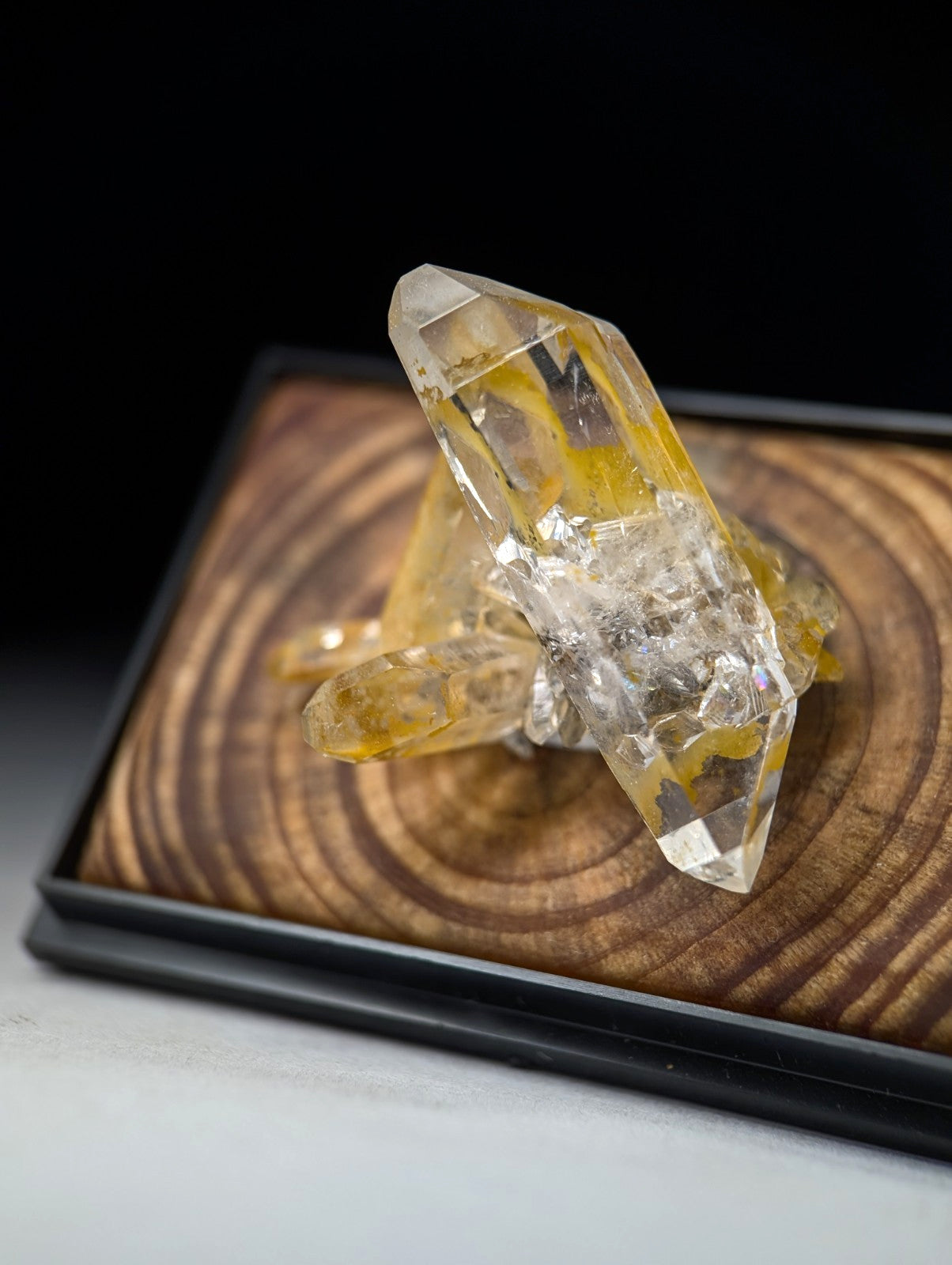 A+ Quartz Crystal Cluster, w/ wood mount + photo case - Garland County, Arkansas