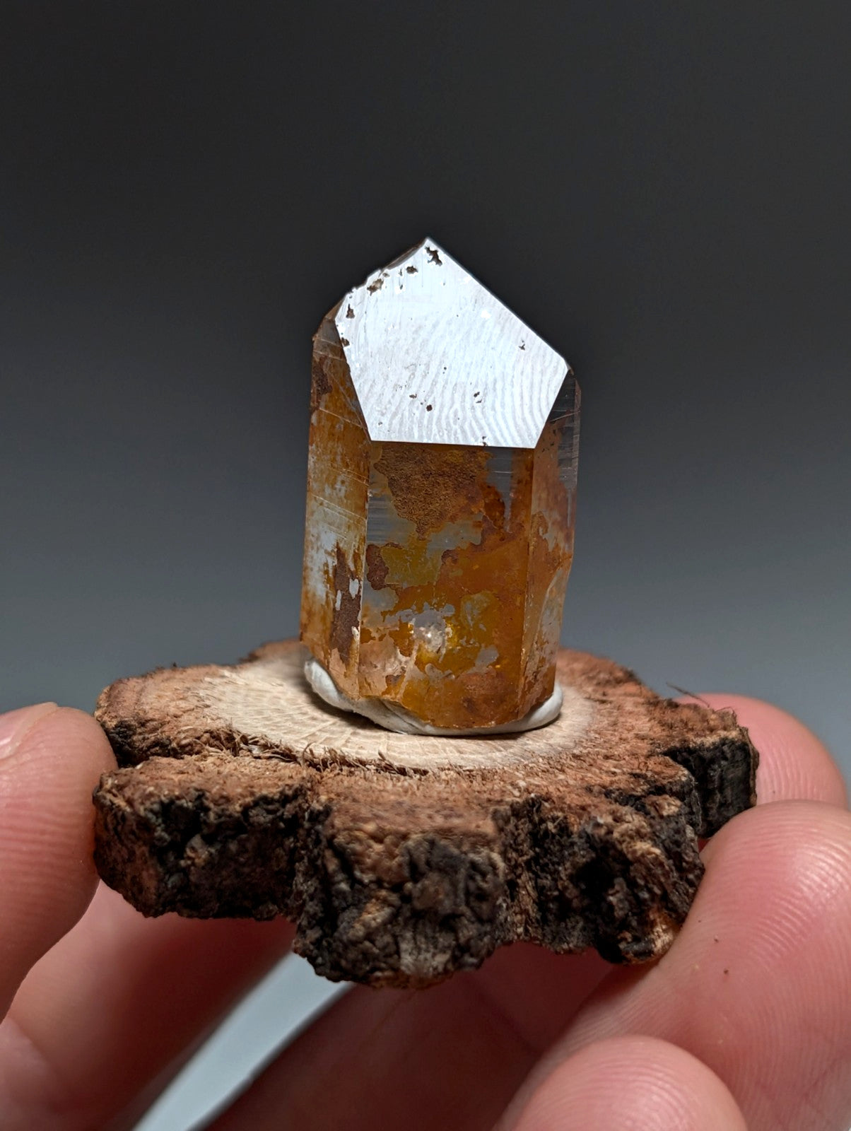 A+ Optical Quartz, Old Stock, Montgomery County, Arkansas, w/ natural wood base
