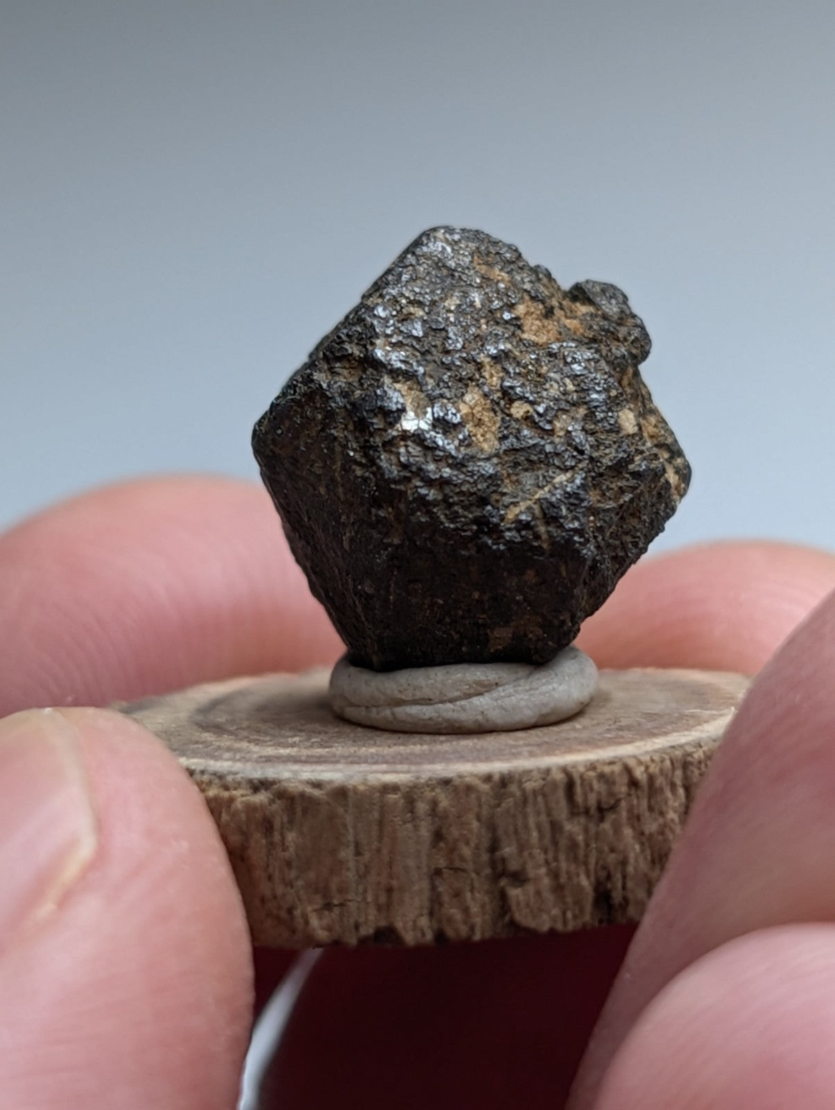 Magnetite crystal, Magnet Cove, Hot Spring County, Arkansas, USA, Old Stock