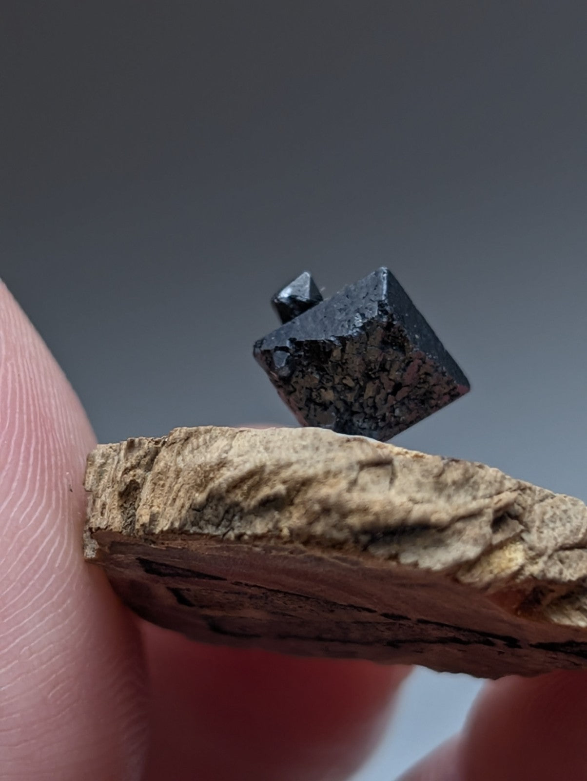 A+ Brookite Crystal, Magnet Cove, Arkansas, Old Stock, + wood stand