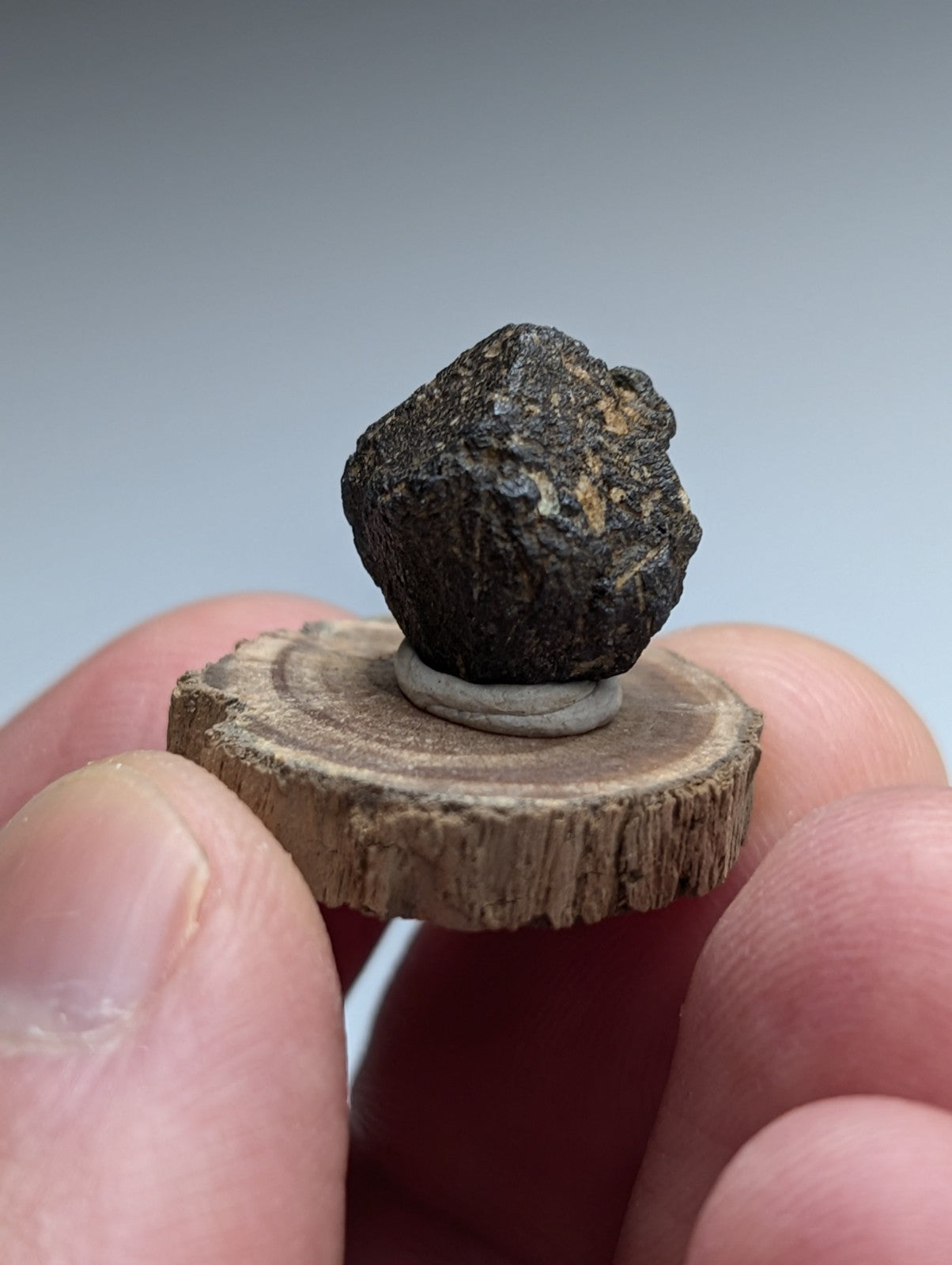 Magnetite crystal, Magnet Cove, Hot Spring County, Arkansas, USA, Old Stock