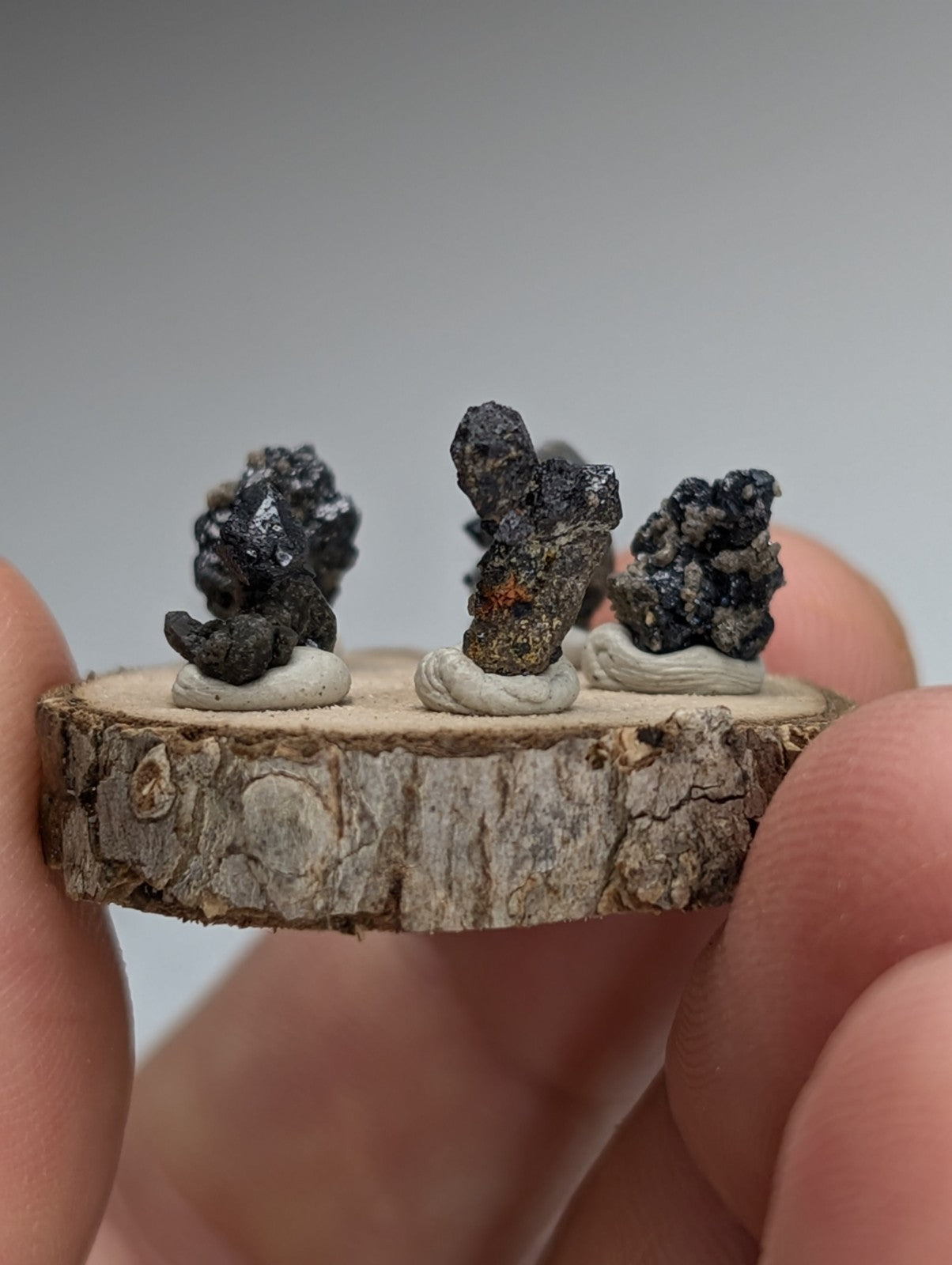 Set of 5 Brookite + Smoky Quartz, Magnet Cove, Arkansas, Old Stock, + wood stand