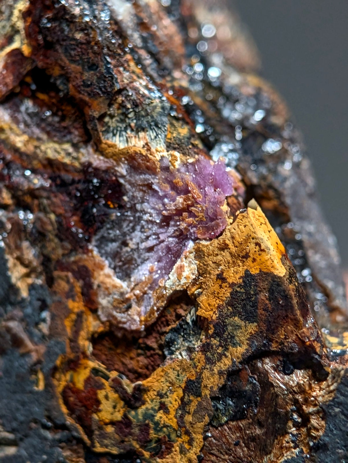Rare Strengite + Kidwellite- Coon Creek, Polk County, Arkansas, w/ photo case