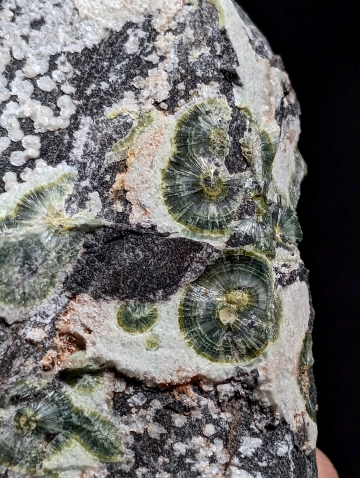 A+++ UV Reactive Wavellite -Old Stock- Mauldin Mountain, Arkansas, USA, RARE!