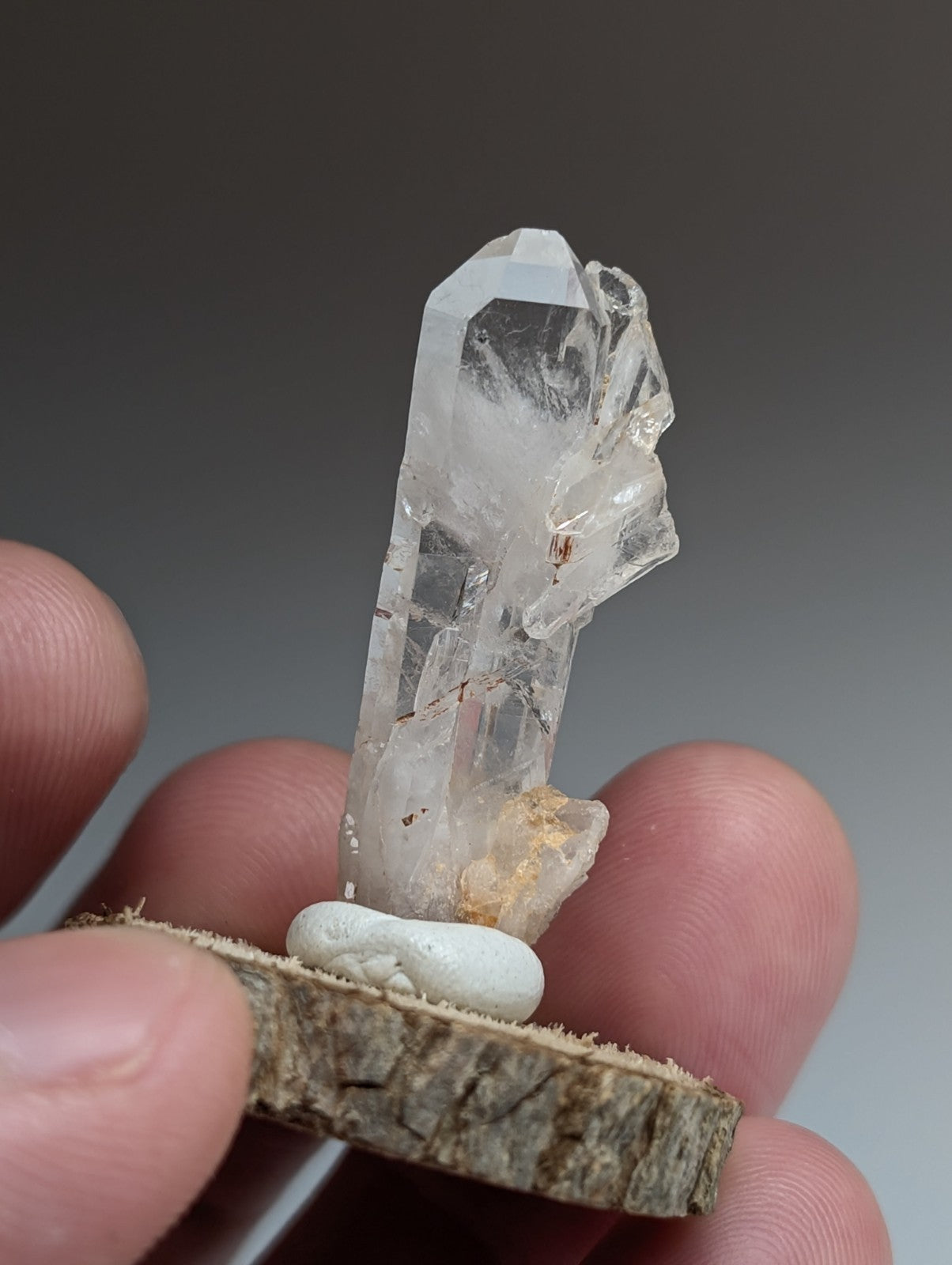 Unique Faden Quartz Crystal, Montgomery County, Arkansas, USA, w/ wood mount