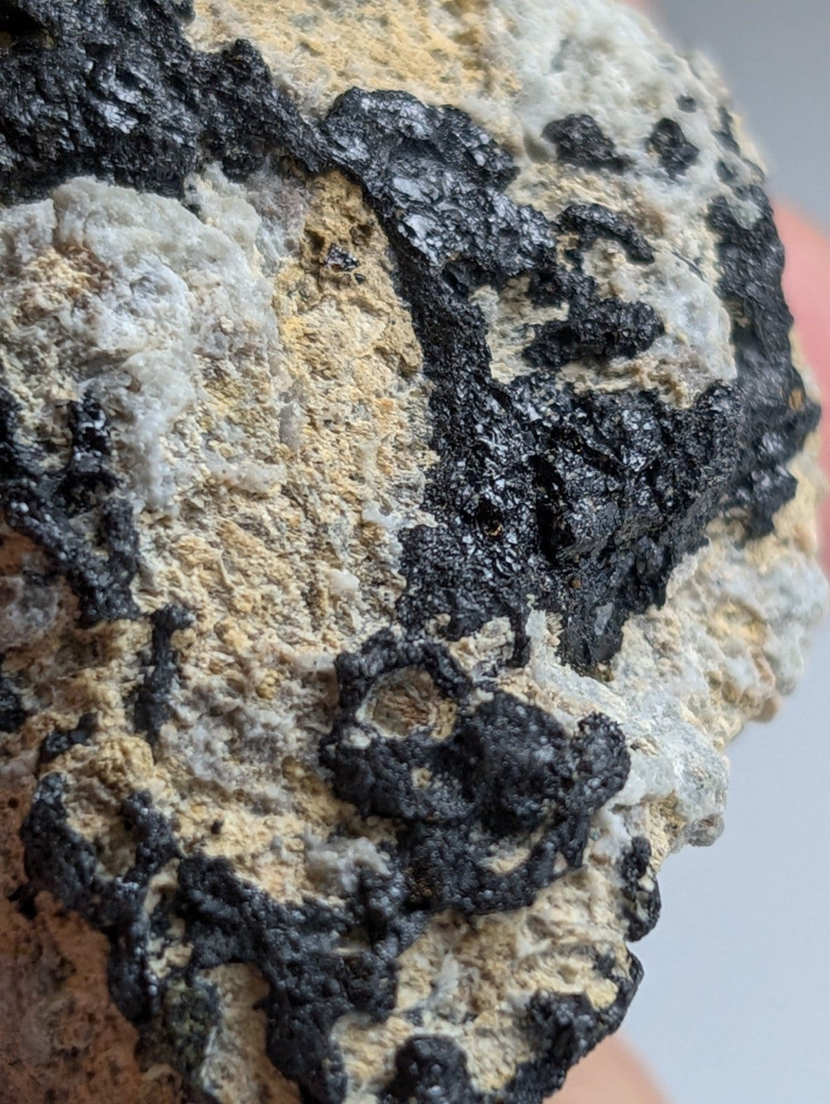 Garnet on Syenite matrix, Magnet Cove, Hot Spring County, Arkansas, Old Stock