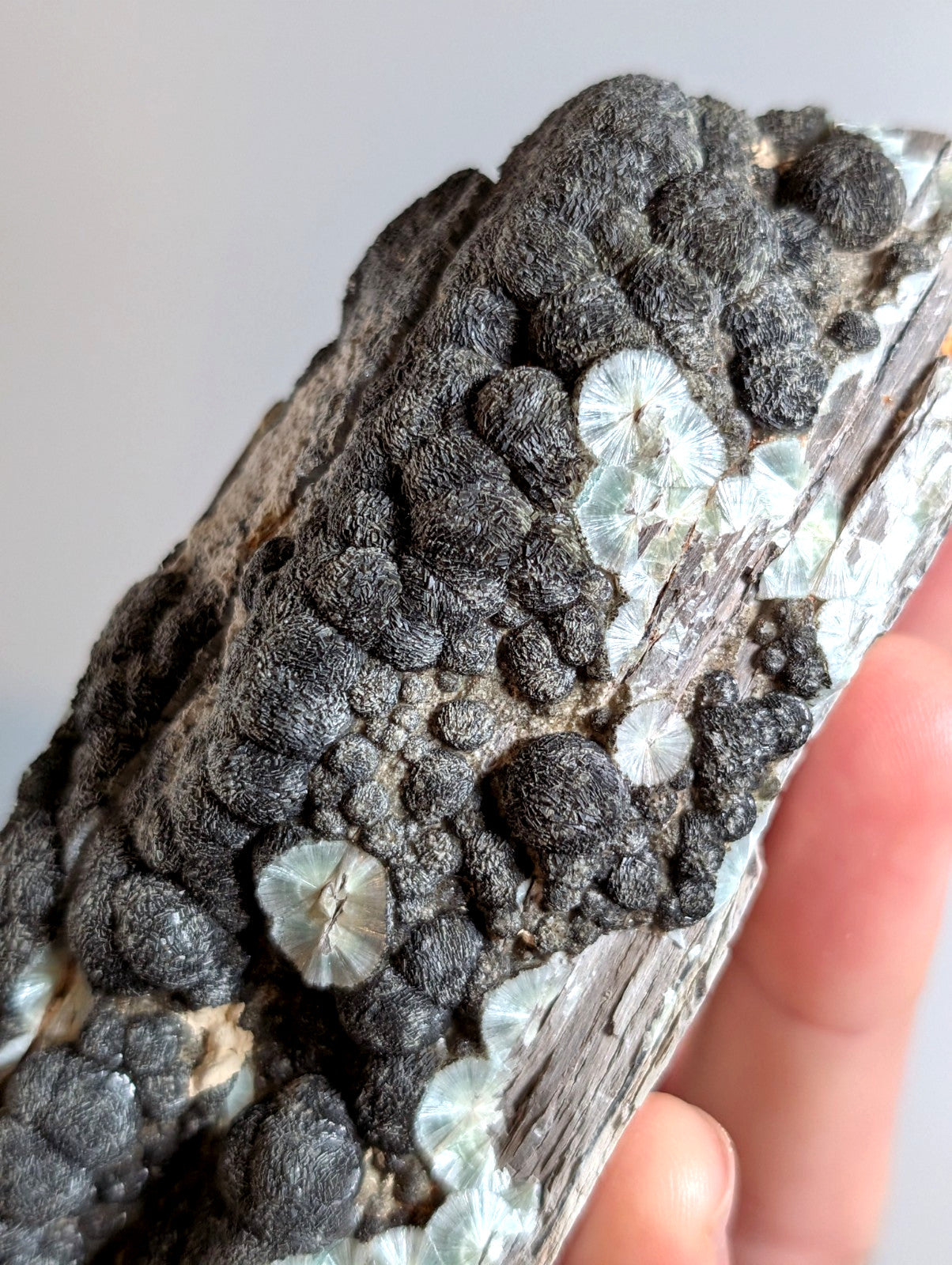 Black Wavellite - Fantastic Old Stock - Mauldin Mountain, Arkansas, USA, Rare