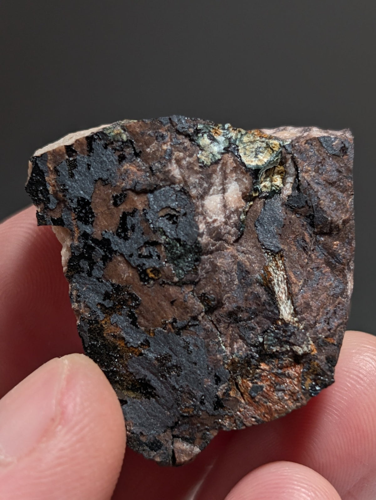 Rare Kidwellite specimen - Coon Creek Mine, Polk County, Arkansas, USA