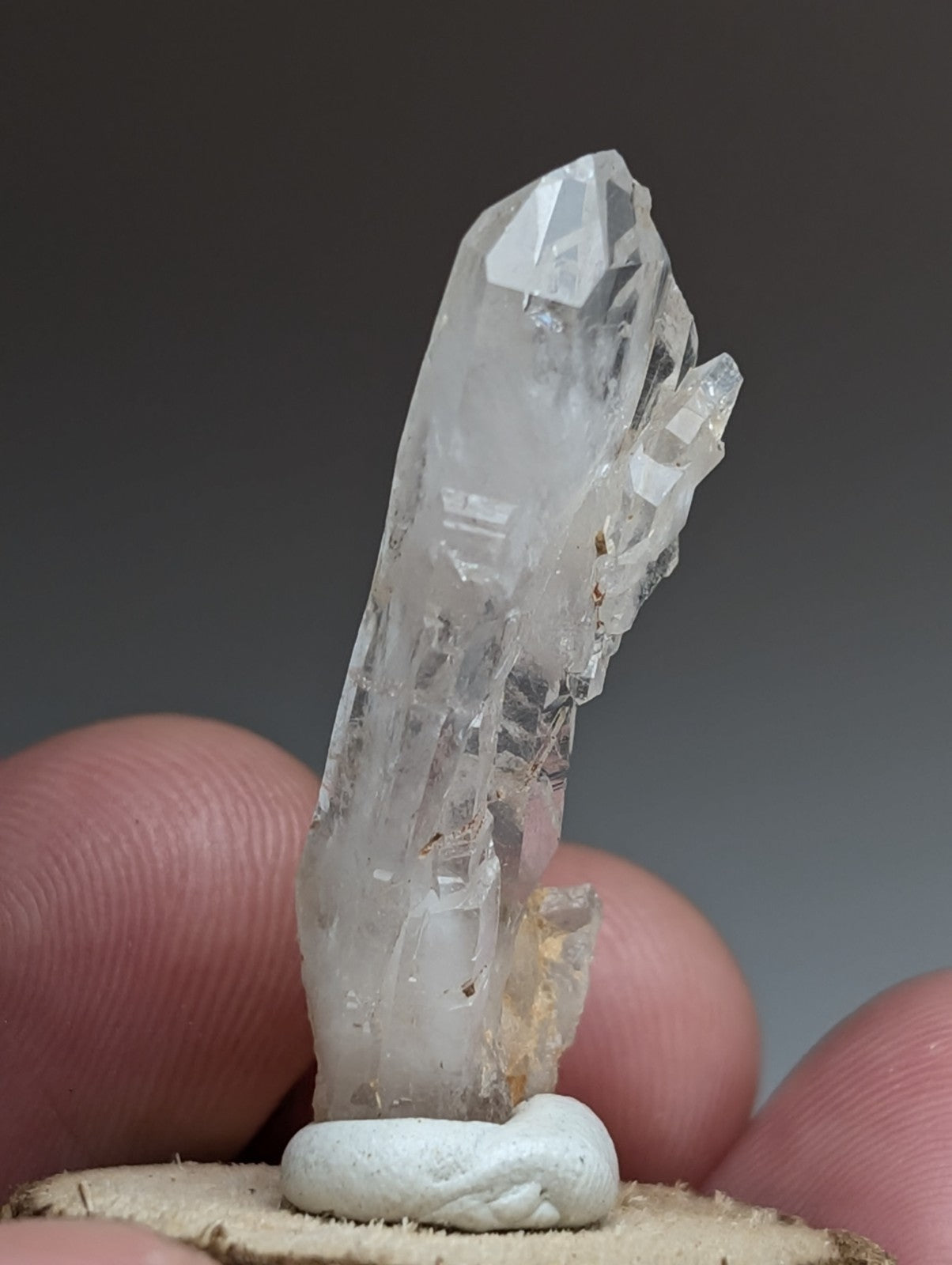 Unique Faden Quartz Crystal, Montgomery County, Arkansas, USA, w/ wood mount