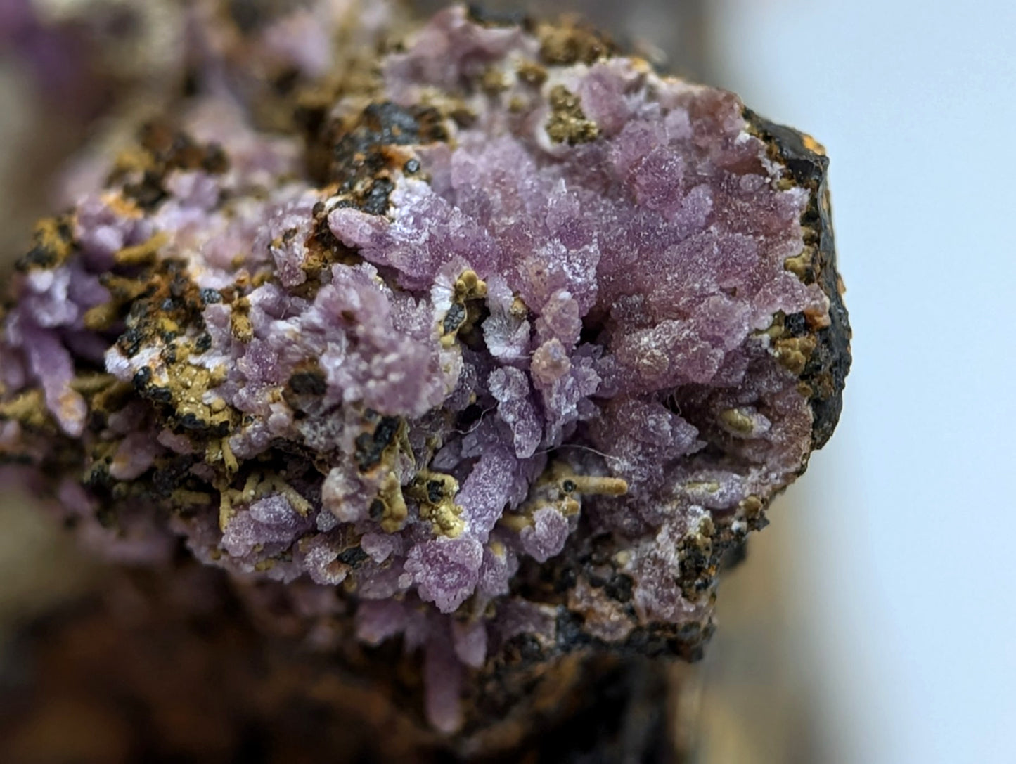 Super Rare Strengite + Kidwellite, etc, Coon Creek Mine, Polk Co, Arkansas, A+++