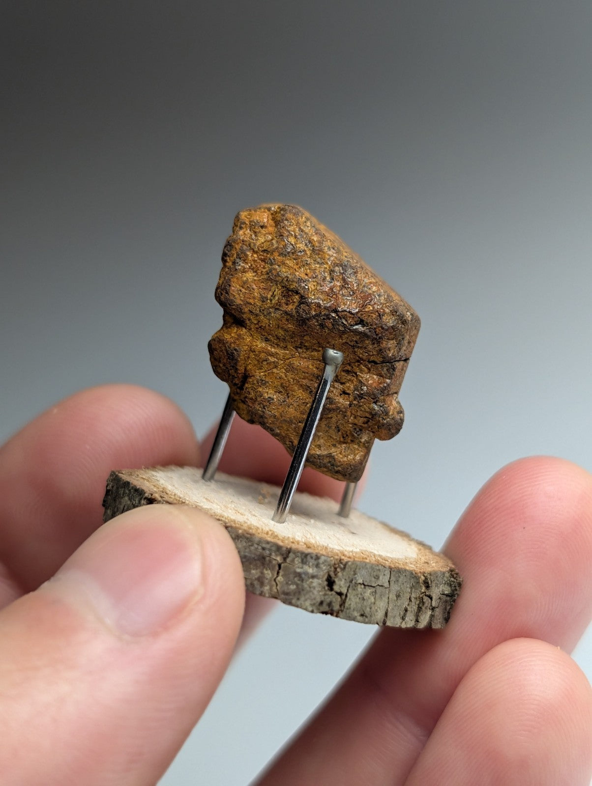 Goethite after Pyrite Pseudomorph, Magnet Cove, Arkansas,  w/ natural wood stand