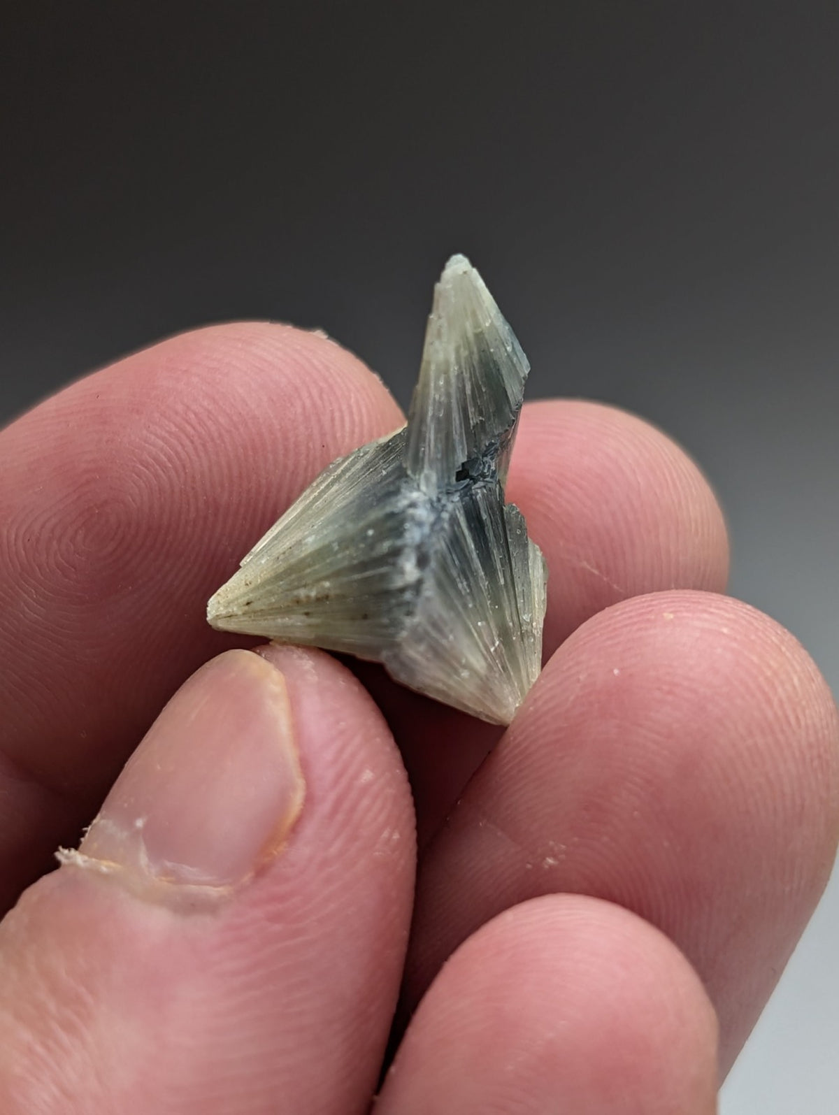 Unique Wavellite  - Old Stock - Delinde Mine, 1960s - Garland County, Arkansas
