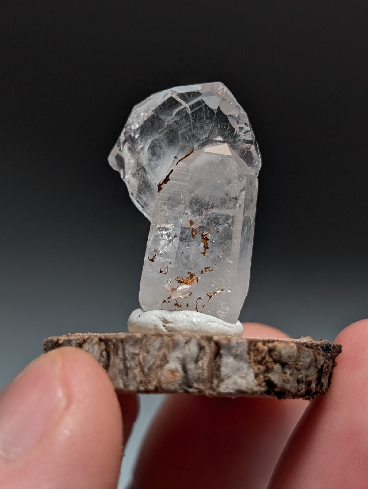 A+ Quartz Crystal Oddity, Montgomery County, Arkansas, w/ natural wood base