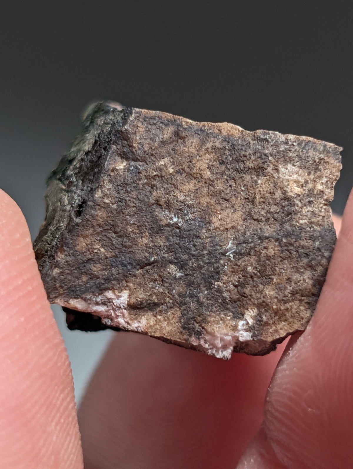Rare Kidwellite specimen - Coon Creek Mine, Polk County, Arkansas, USA