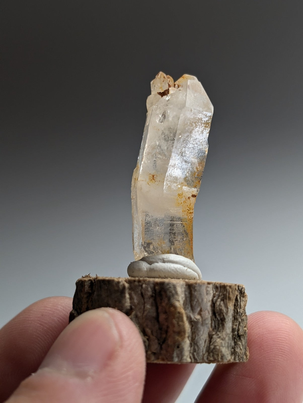 Curved Quartz, Old Stock, Montgomery County, Arkansas, w/ natural wood base